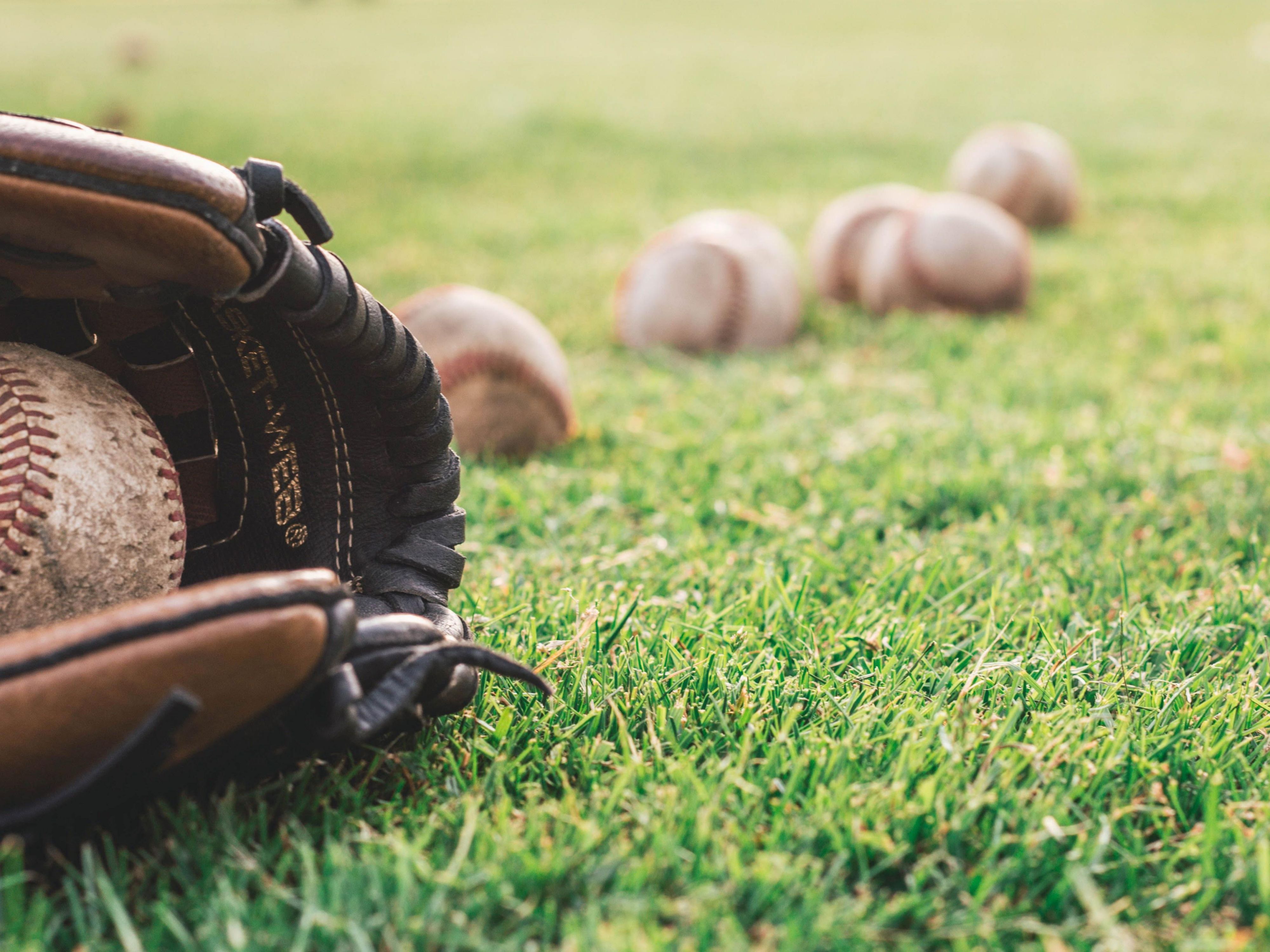 Let’s go Sports Fans!