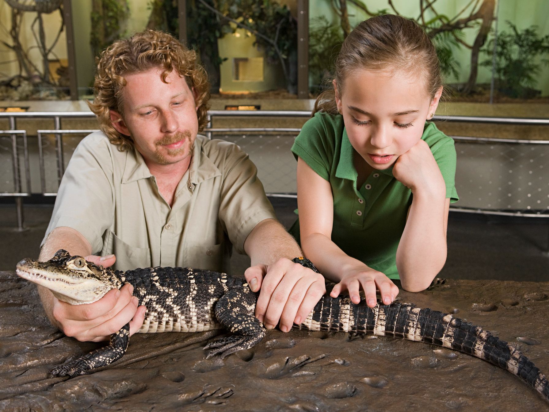 Petting a baby gator.