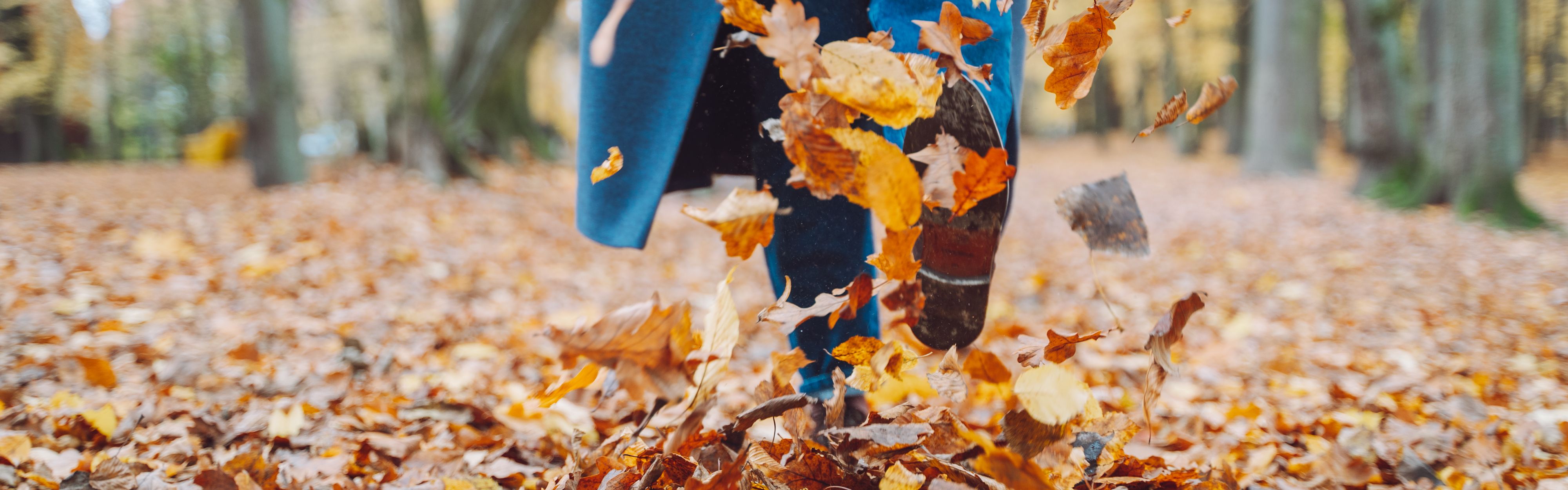 Someone kicking fallen leaves in fall