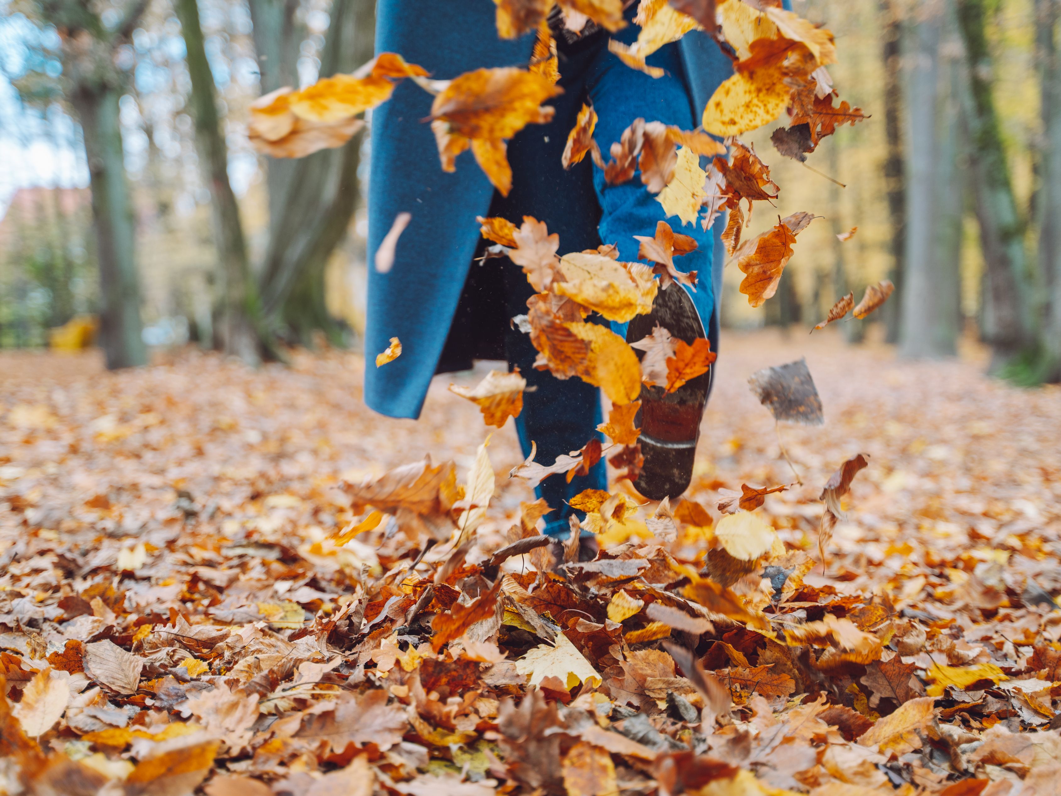 Person walking through fallen leaves