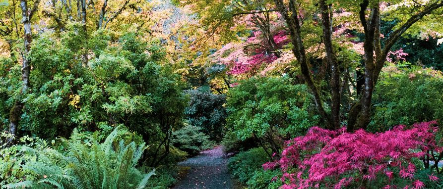 Botanical Garden
