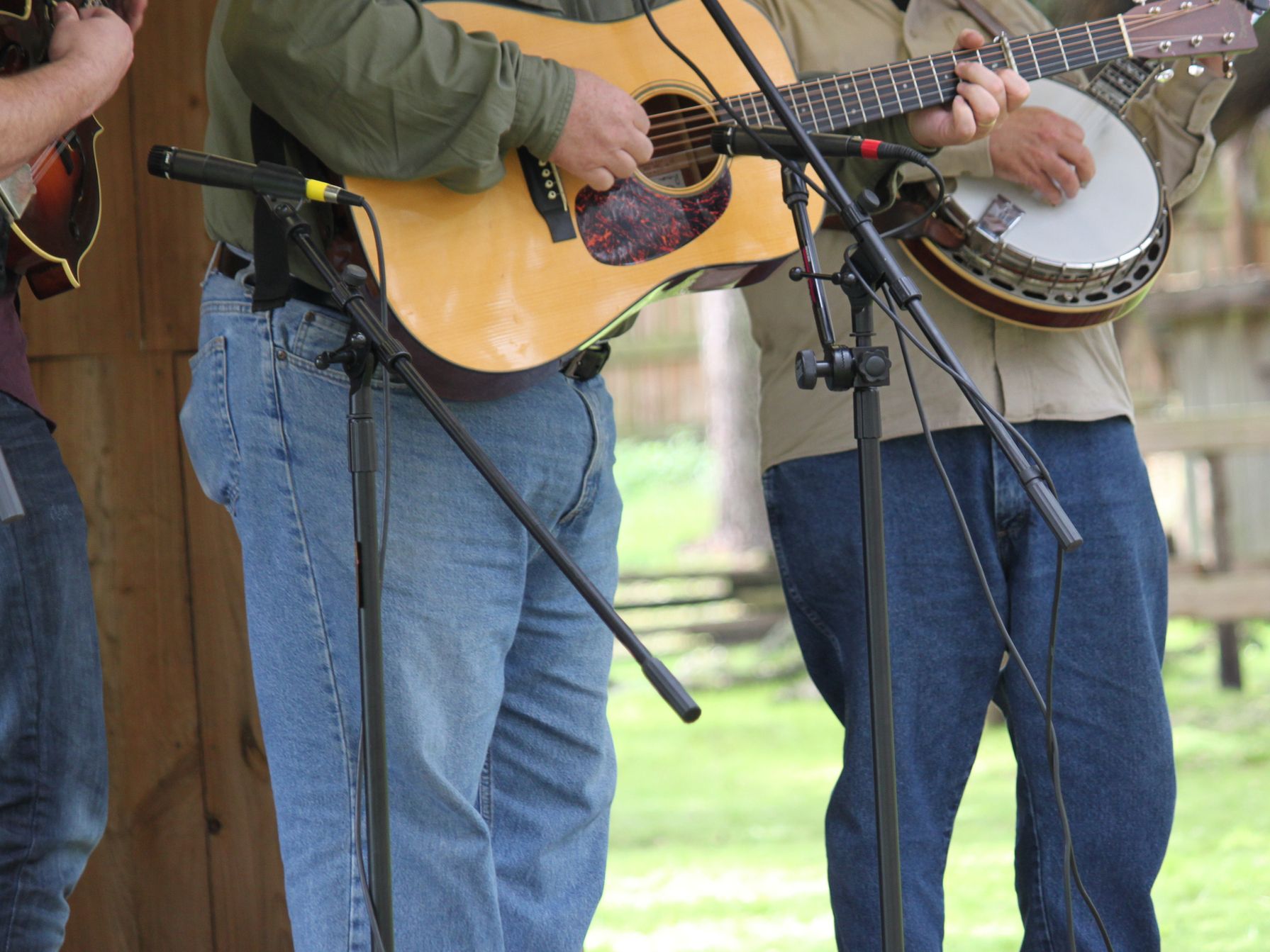 Live bluegrass band. 