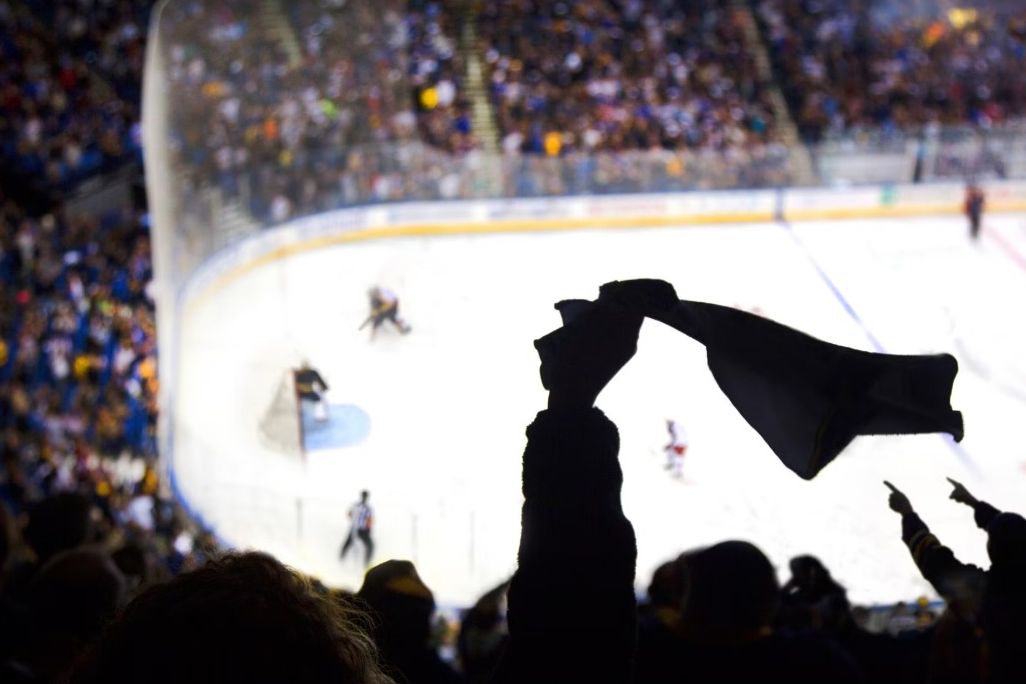 fans at a hockey game