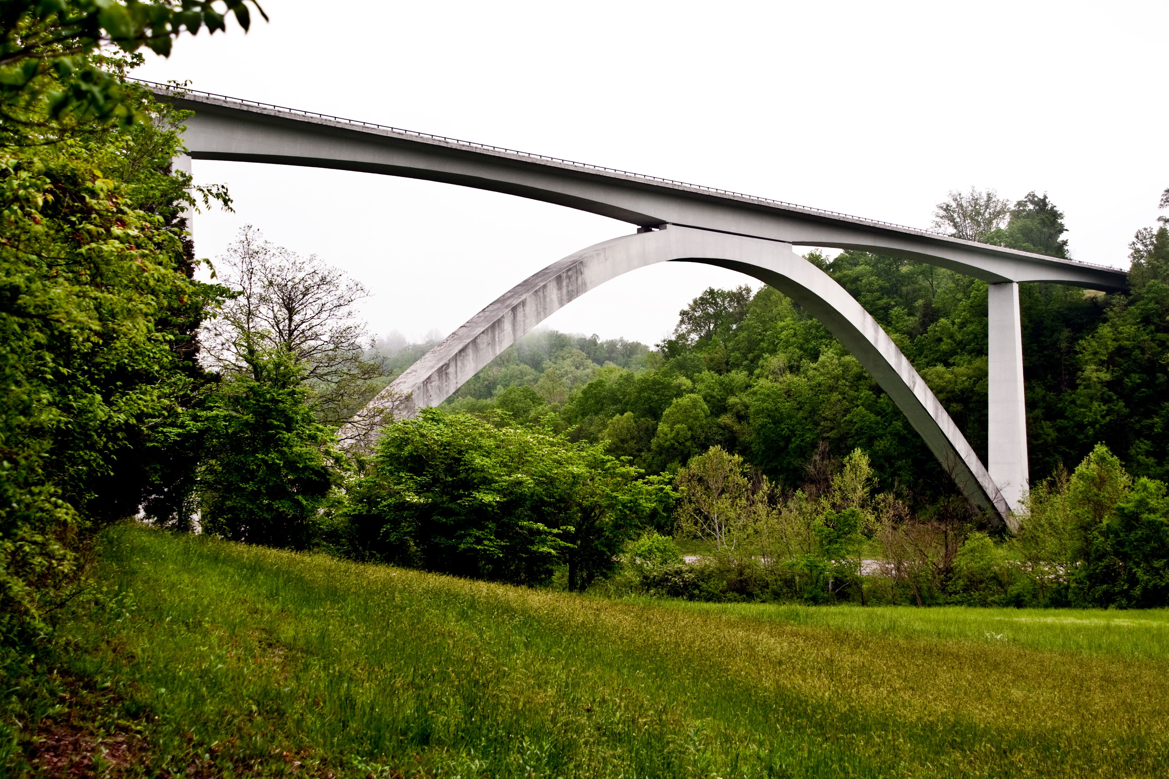 bridge surrounded by nature