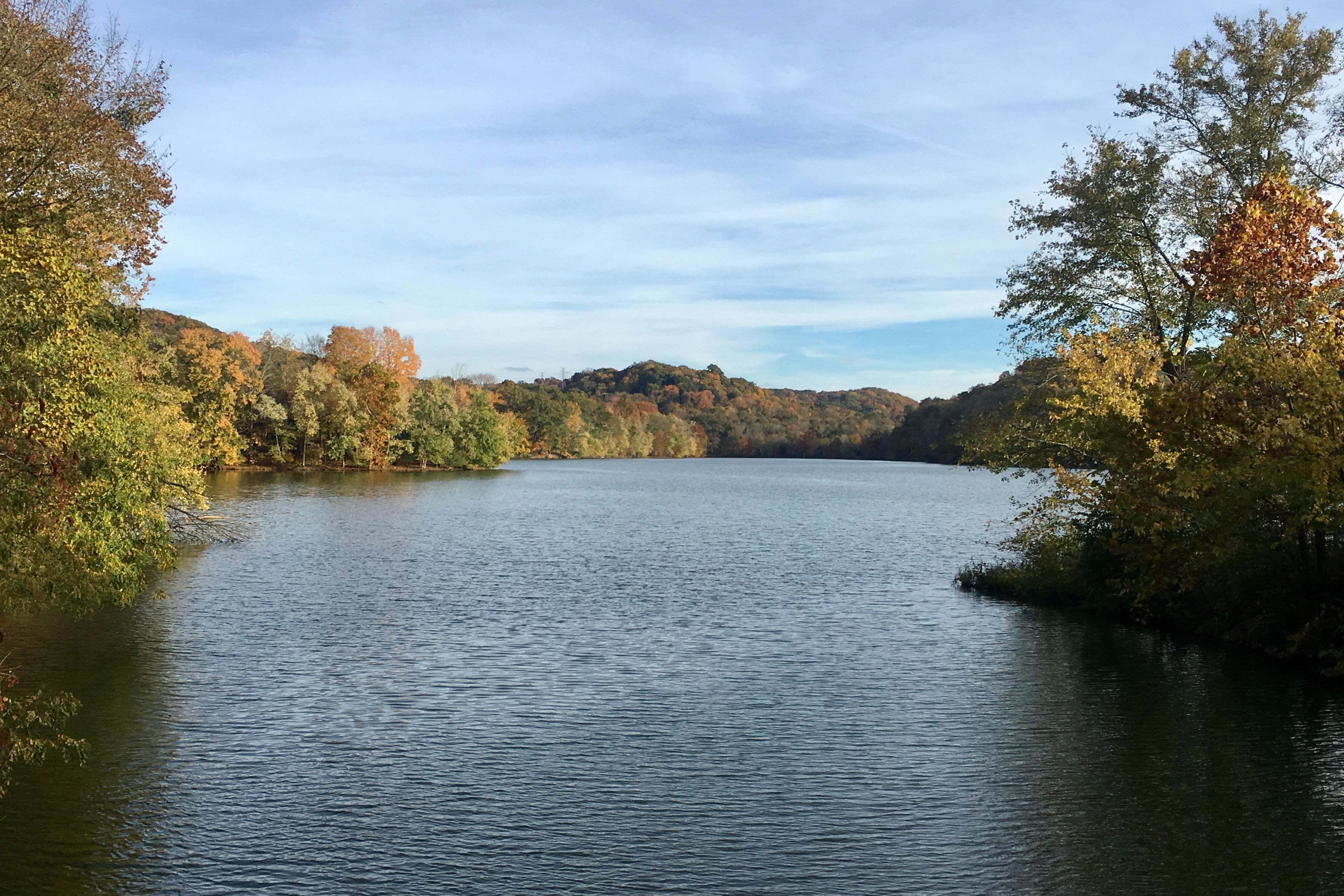 lake surrounded by trees and foliage