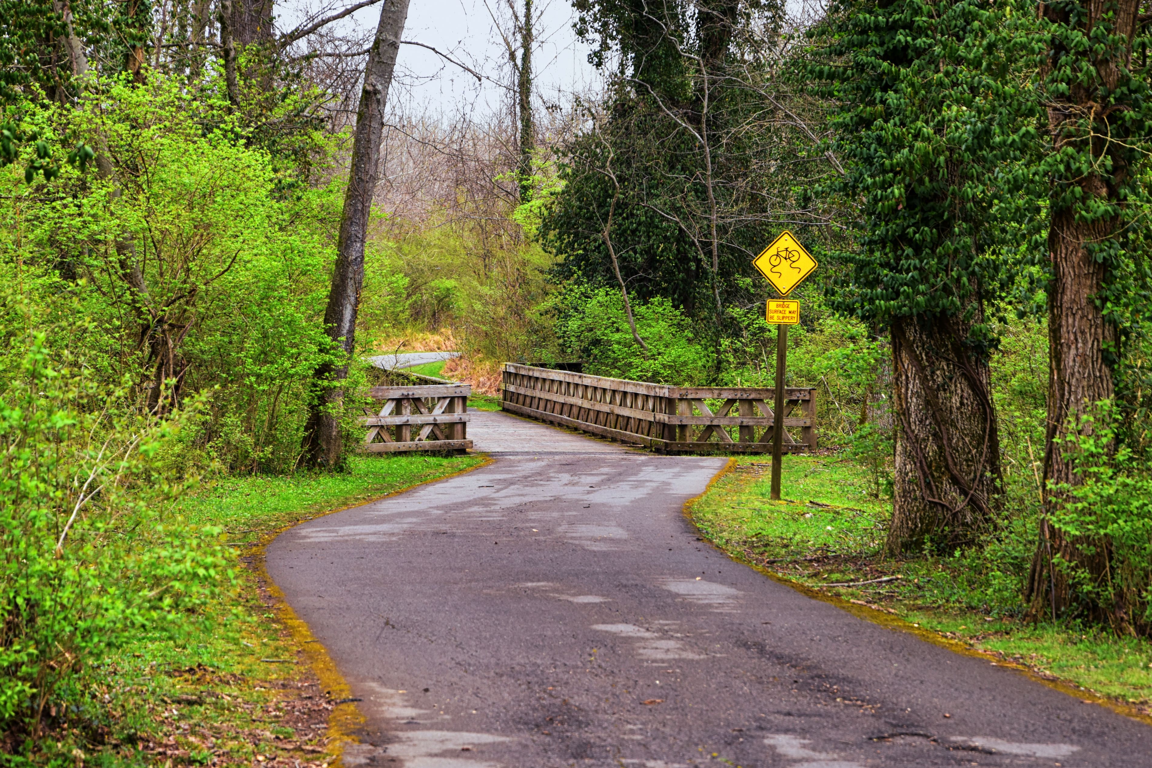 walking bridge at a nature trail