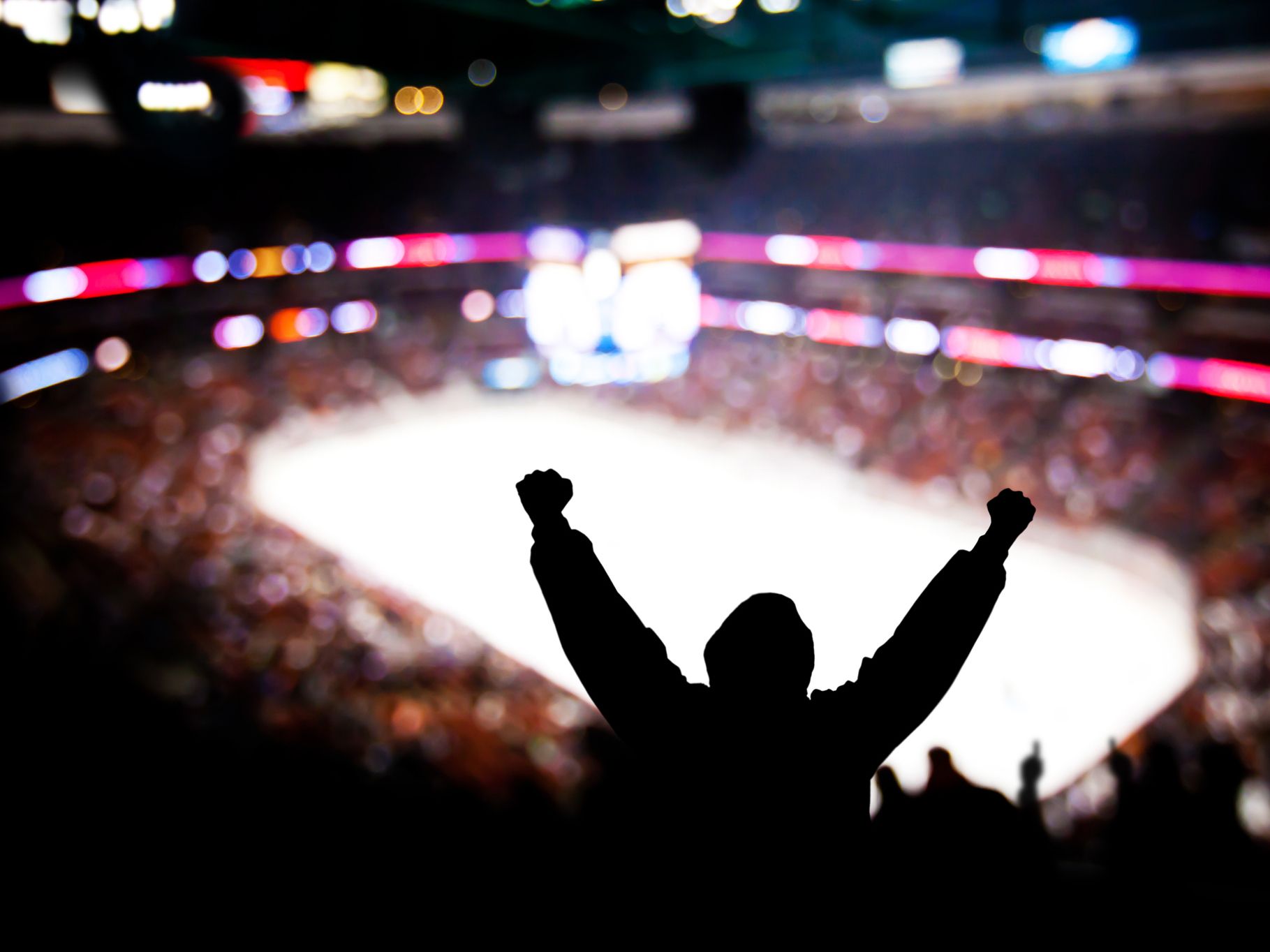 Cheering crowd at an event