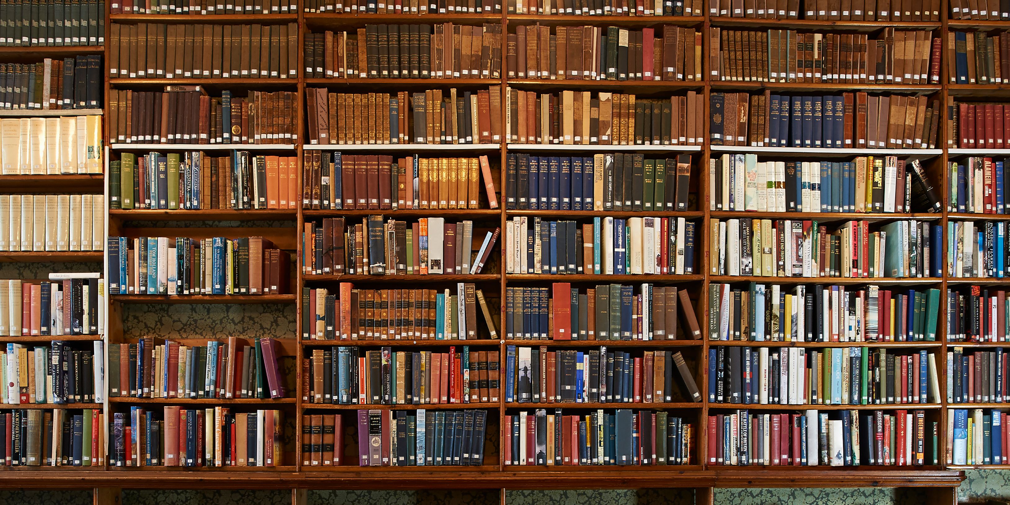 Bookshelves stocked with books.