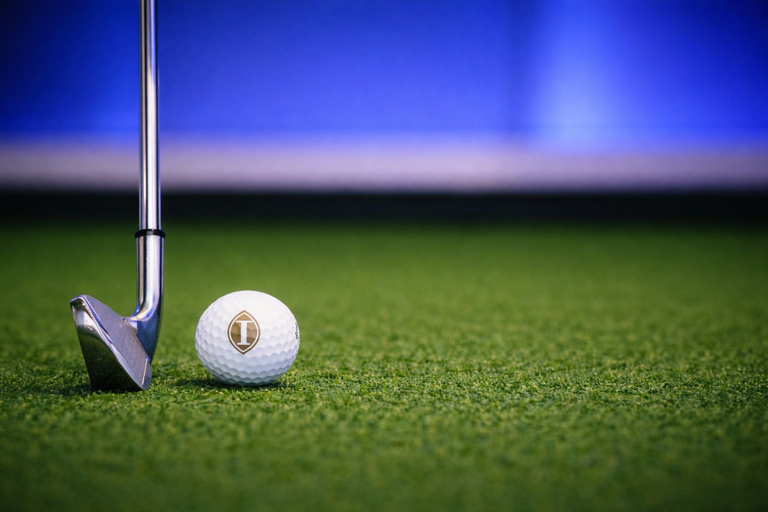 Golf club and ball on putting green