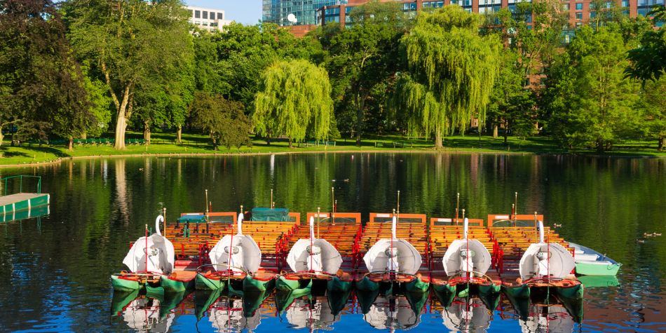 Boston swan boats.