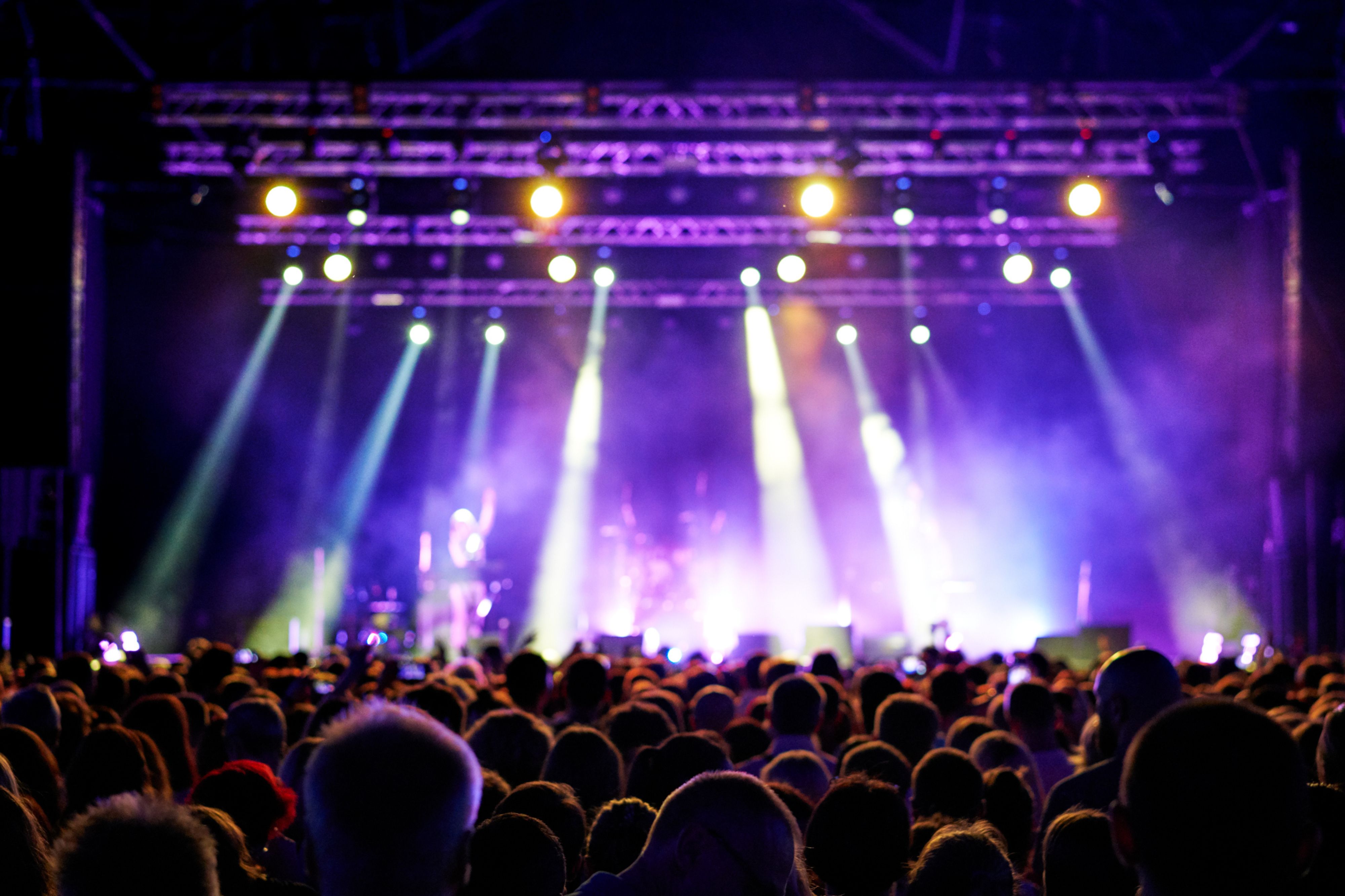 Crowd at a concert.