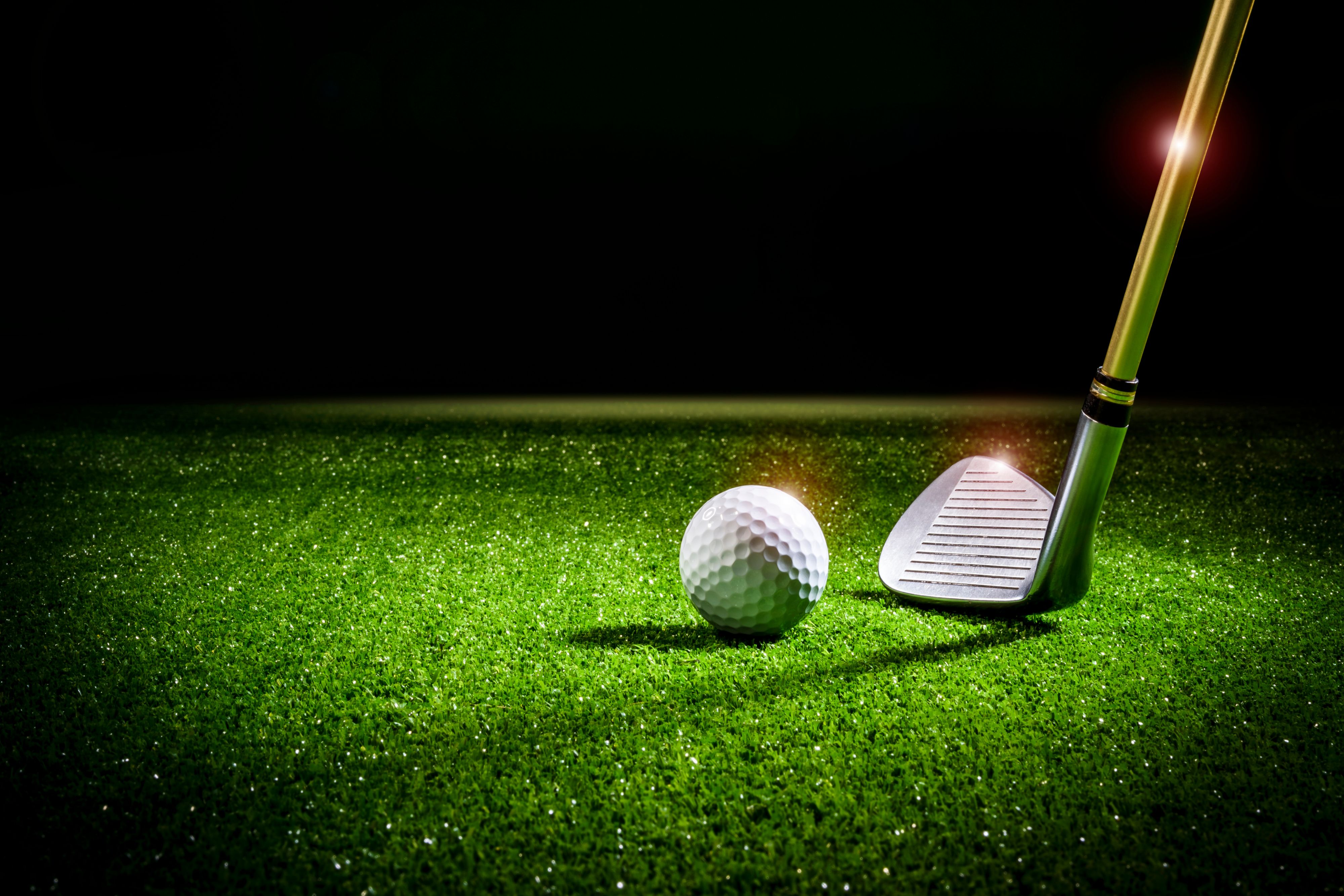 A golf club positioned beside a golf ball on a brightly lit green turf.