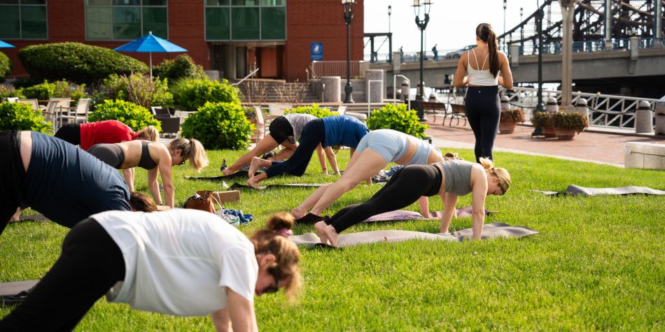 Guests doing a plank pose in yoga.