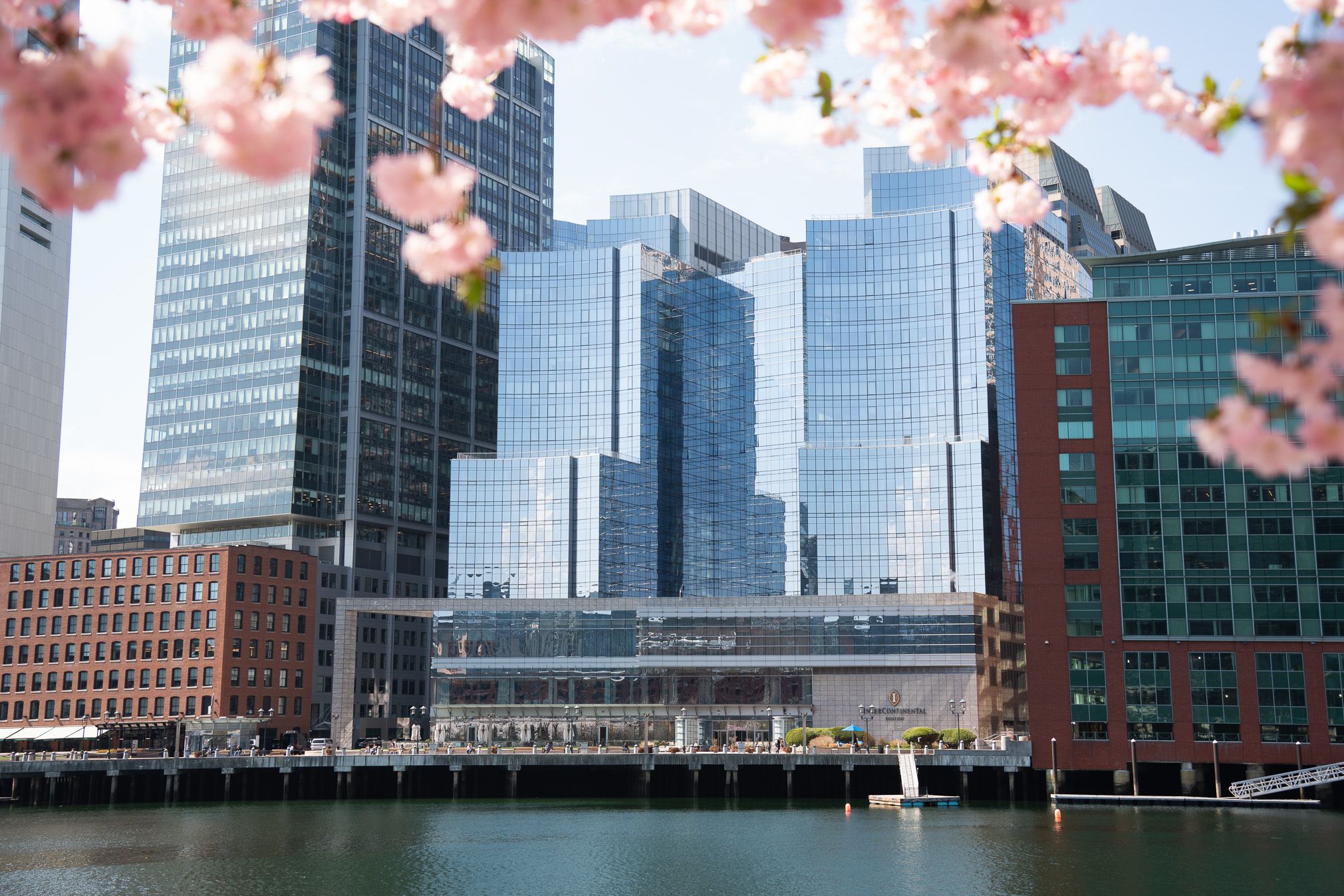 Exterior of InterContinental Boston on the waterfront, framed by cherry blossoms.