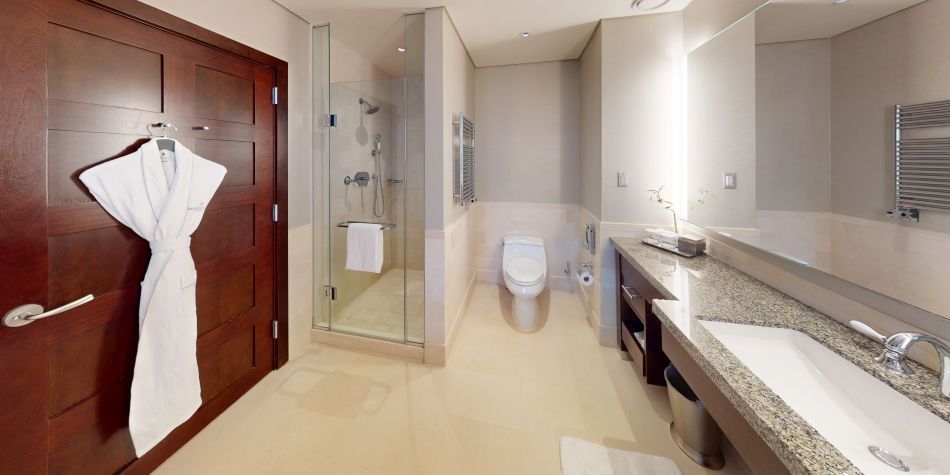 Spa bathroom in Penthouse South Suite with glass shower