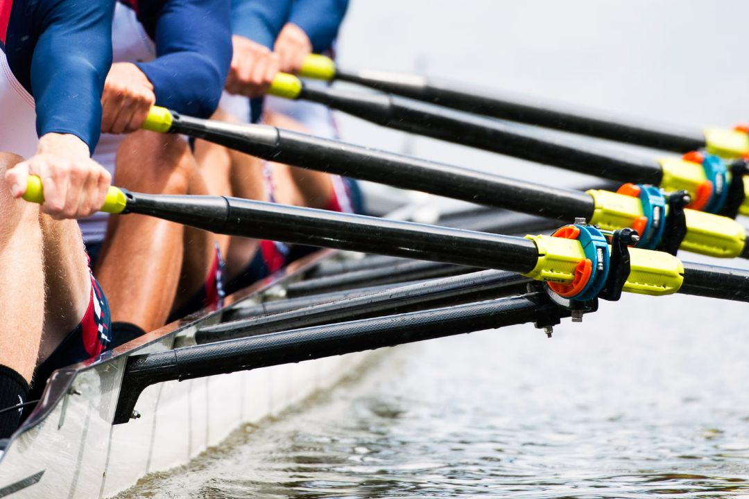 Close up of rowers and their oars.