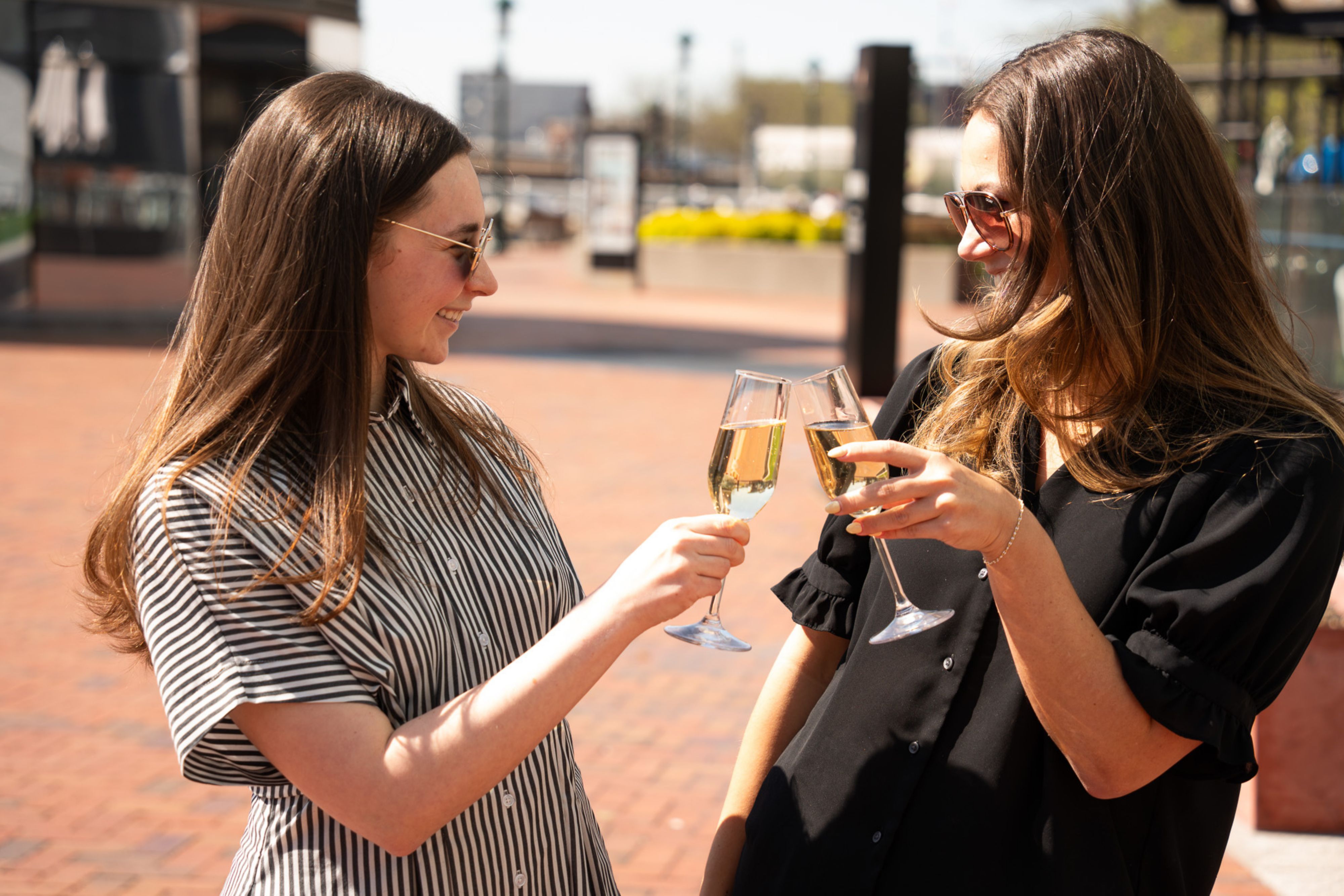 Two friends toasting champagne flutes on a sunny Boston afternoon.