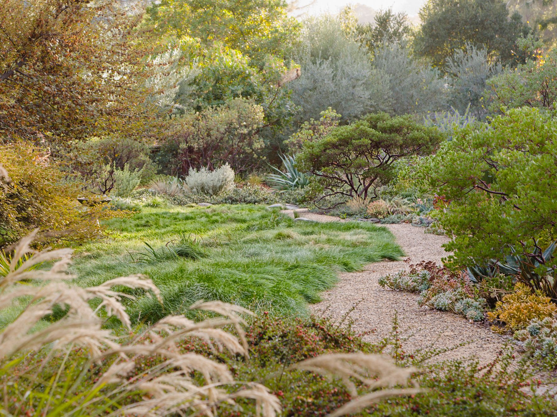 Take a stroll through the Botanical Gardens.