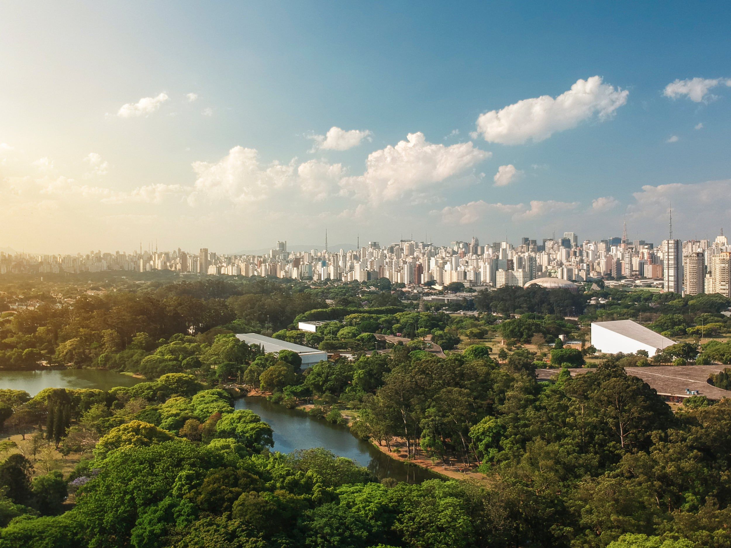 City in Summer