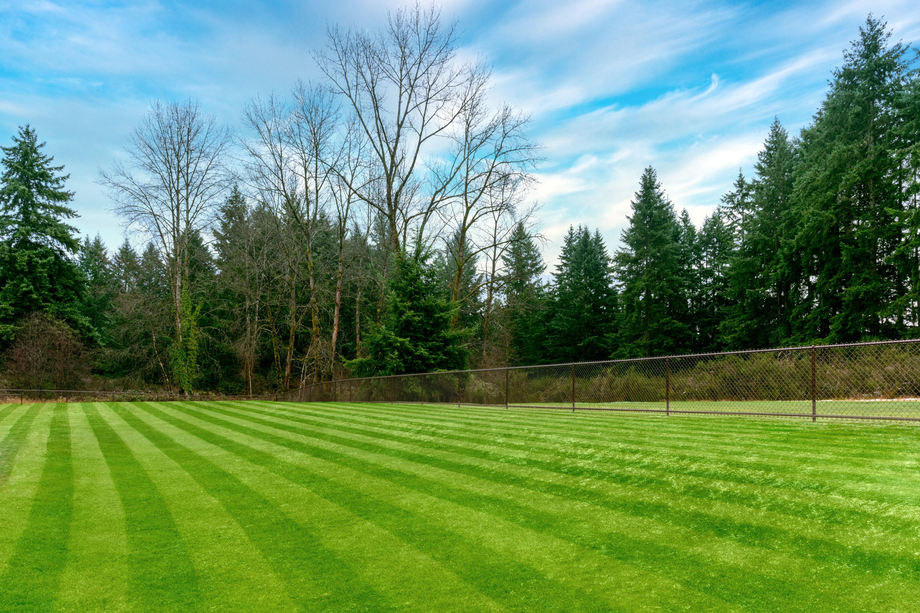 Pets are welcome and can enjoy our fenced walking area.
