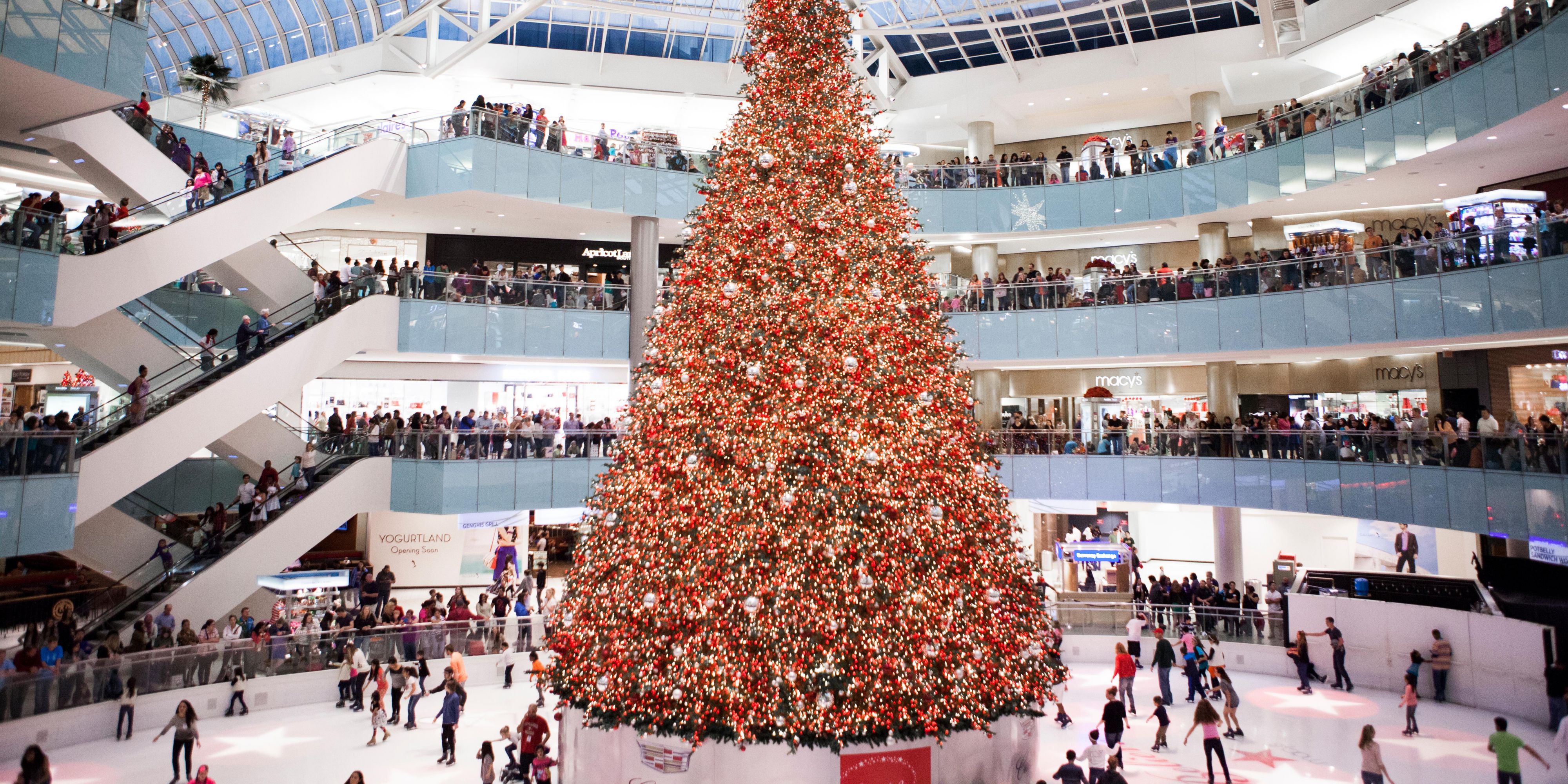 dog friendly hotels for christmas