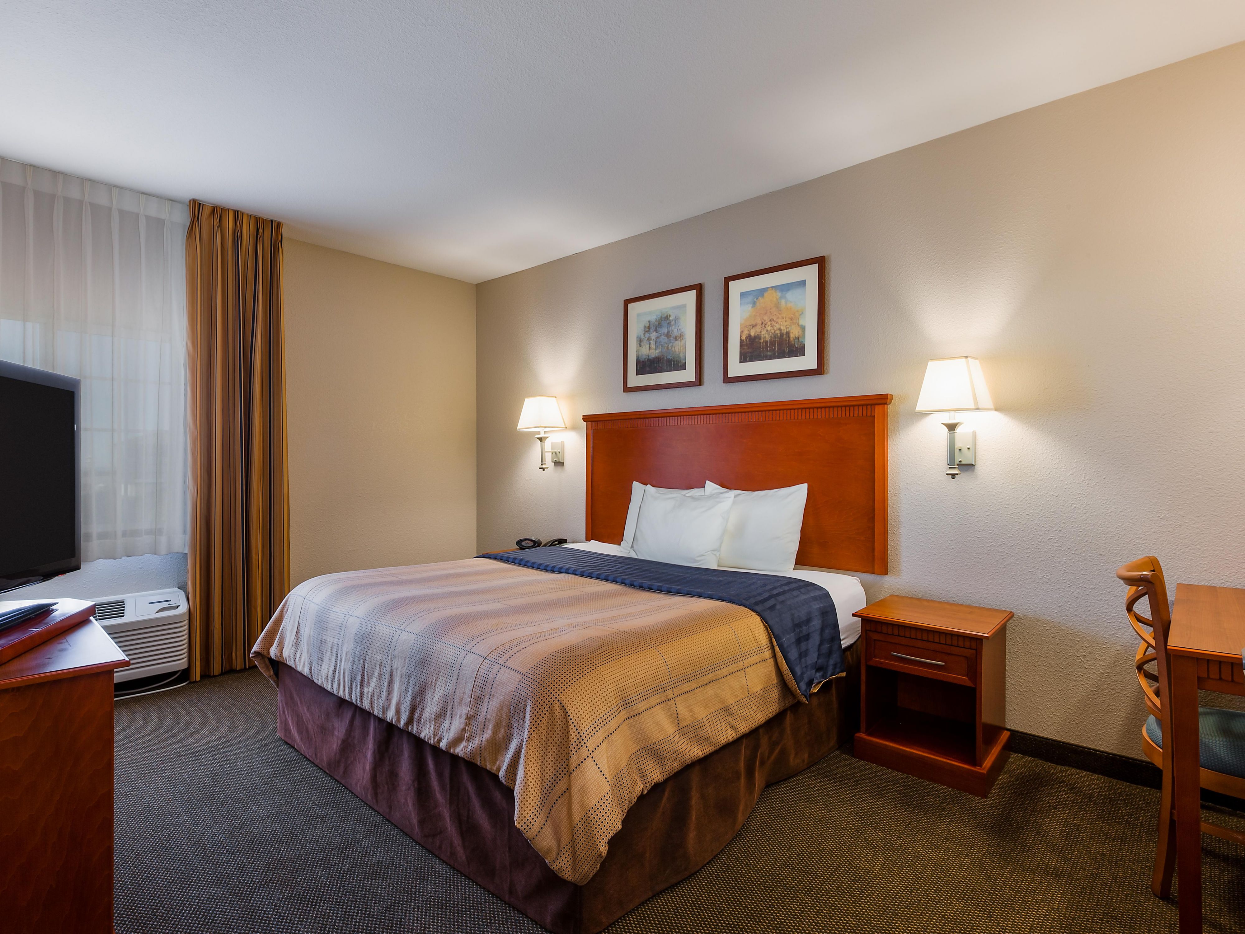 Relax and unwind in your studio suite.