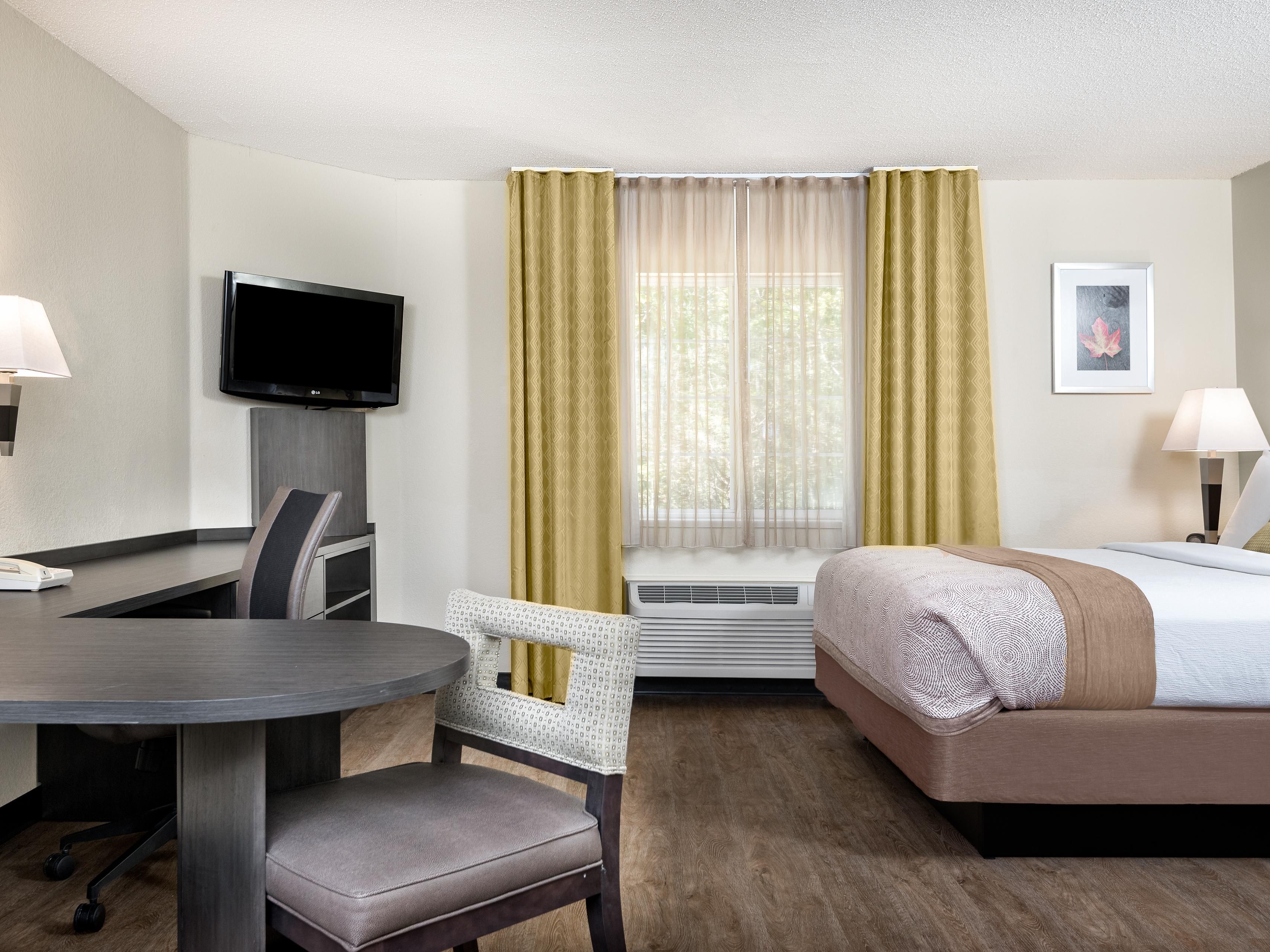 Studio Suite Guest Room