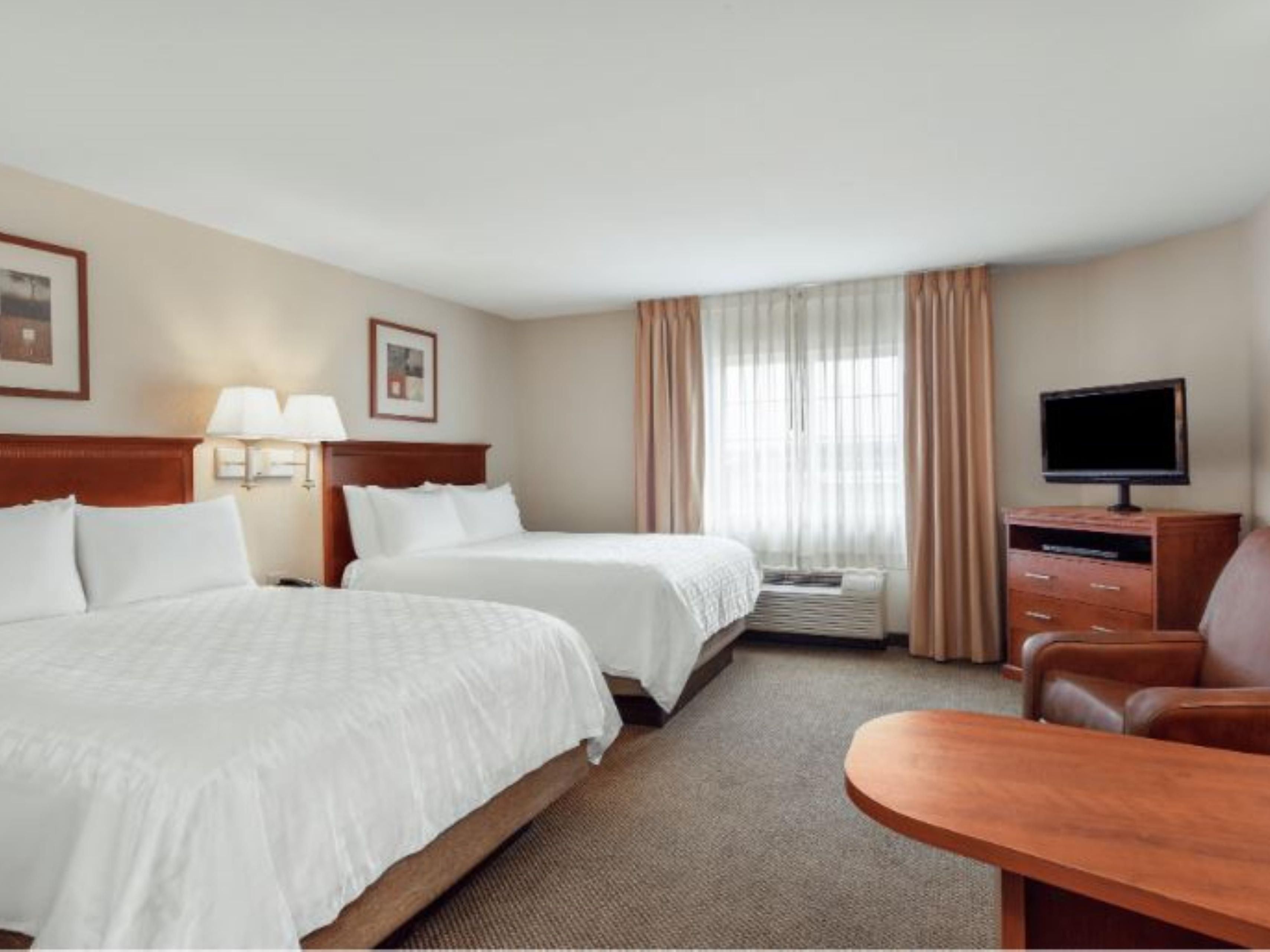 Studio Suite - two queen beds with free WiFi