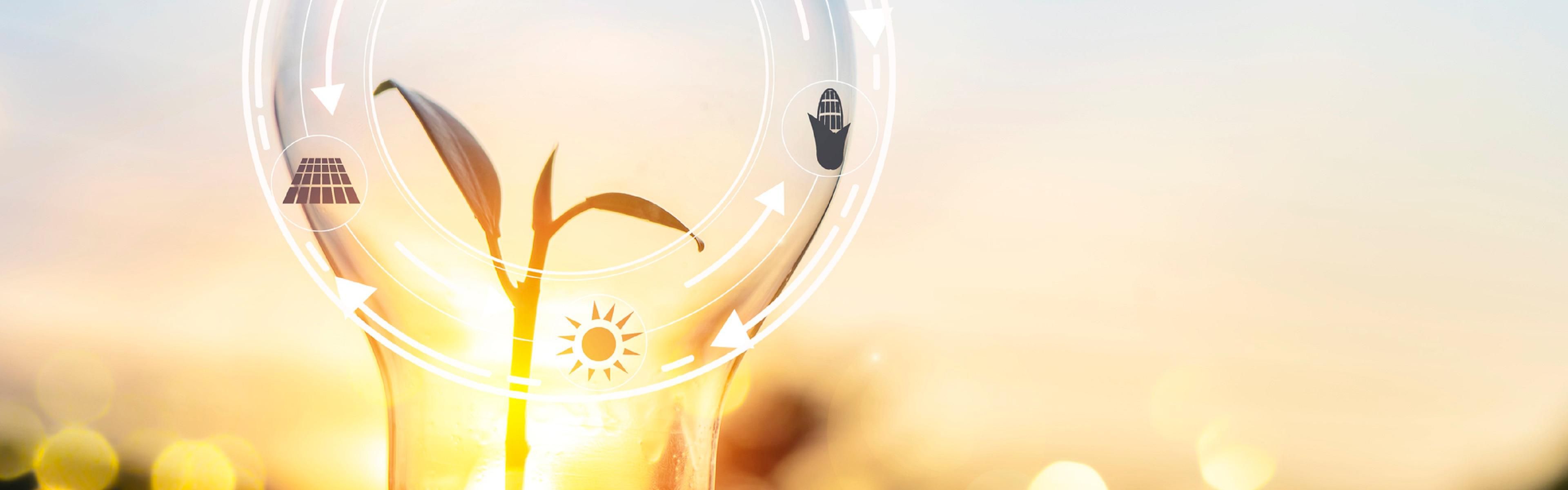 Local Area Energy