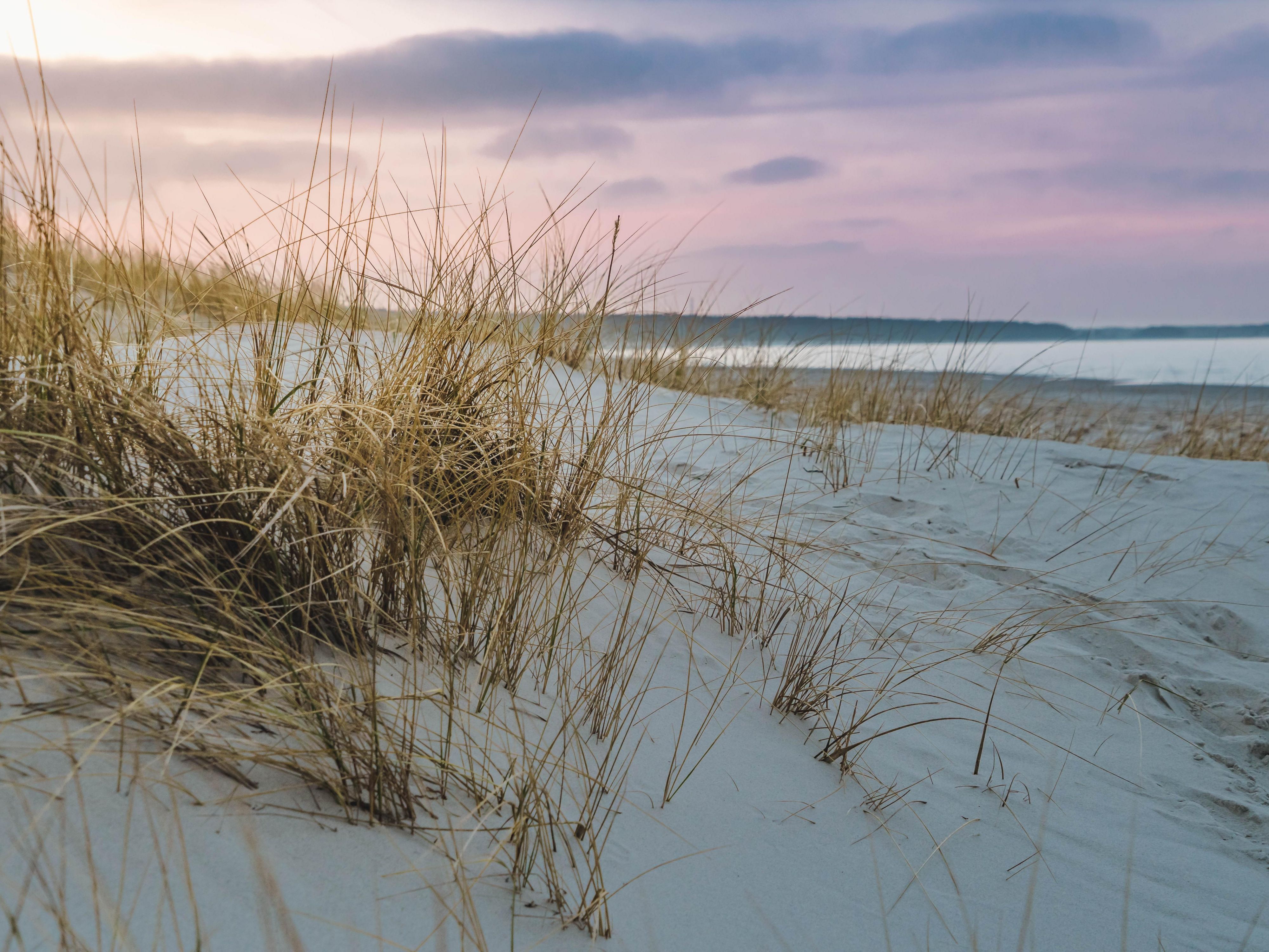 After you get your fill of Santa Maria Style barbecue, get your feet sandy and touch the Pacific Ocean, stroll along the boardwalk or enjoy the waterfront dining options.