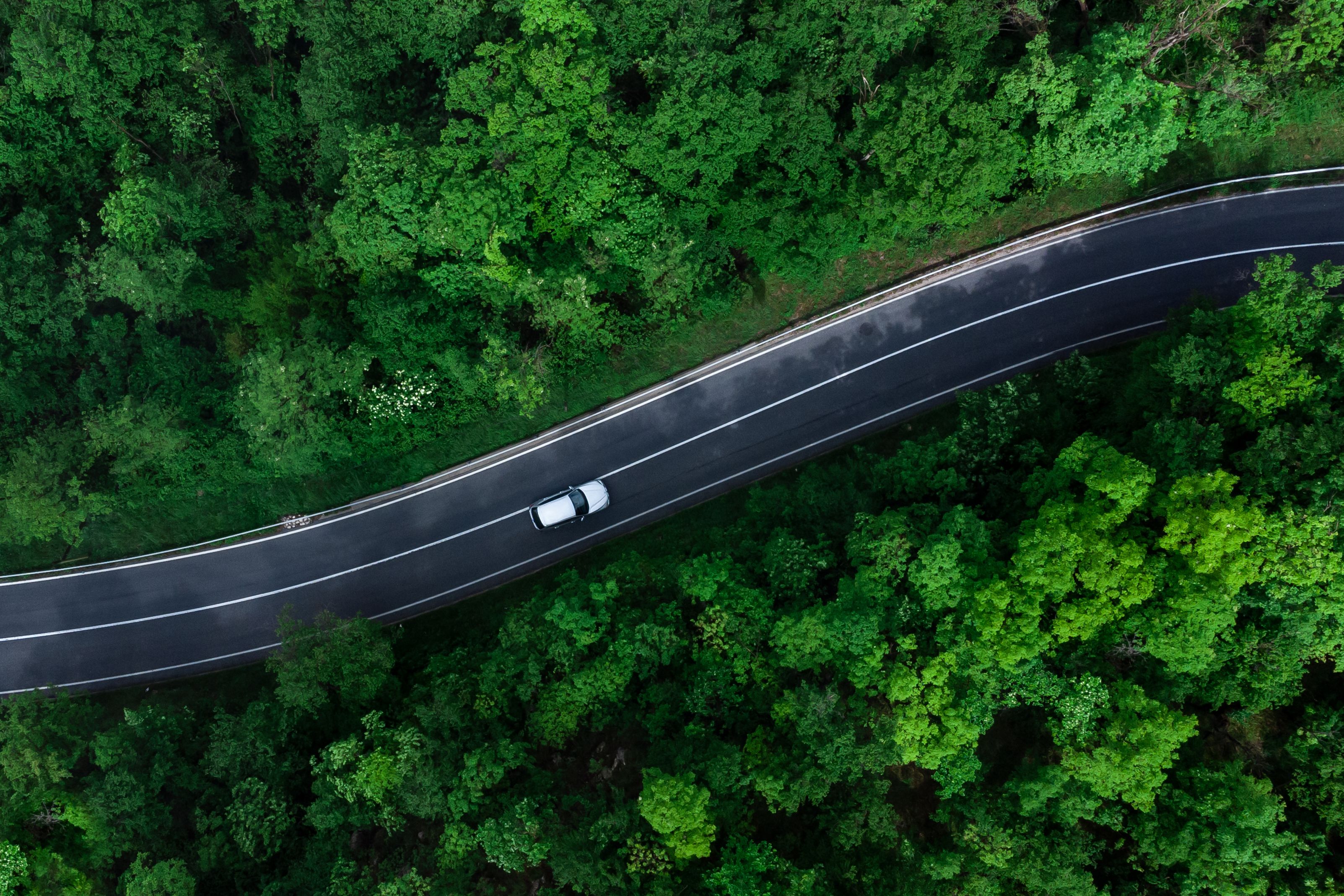 Car driving down a highway surrounded by trees.