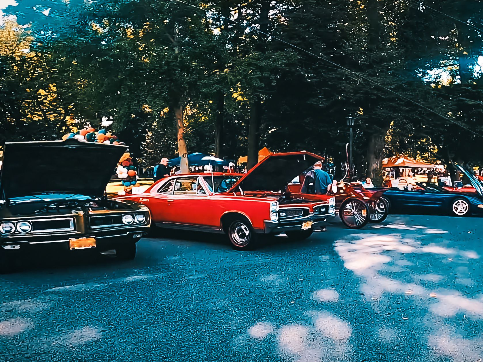 Classic cars on display