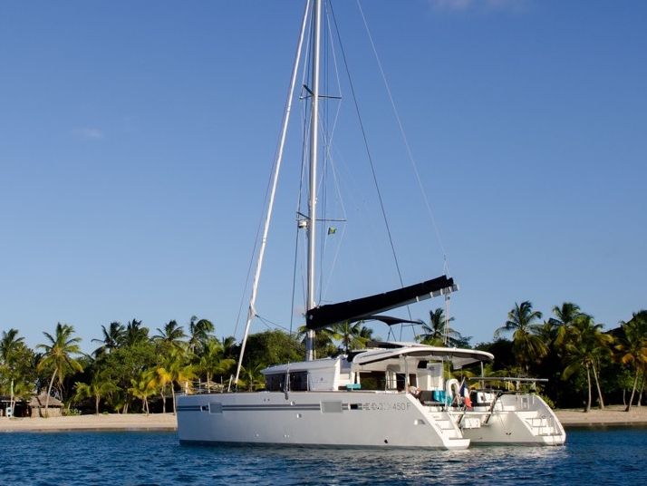 Catamaran pulling into beautiful island with palm trees