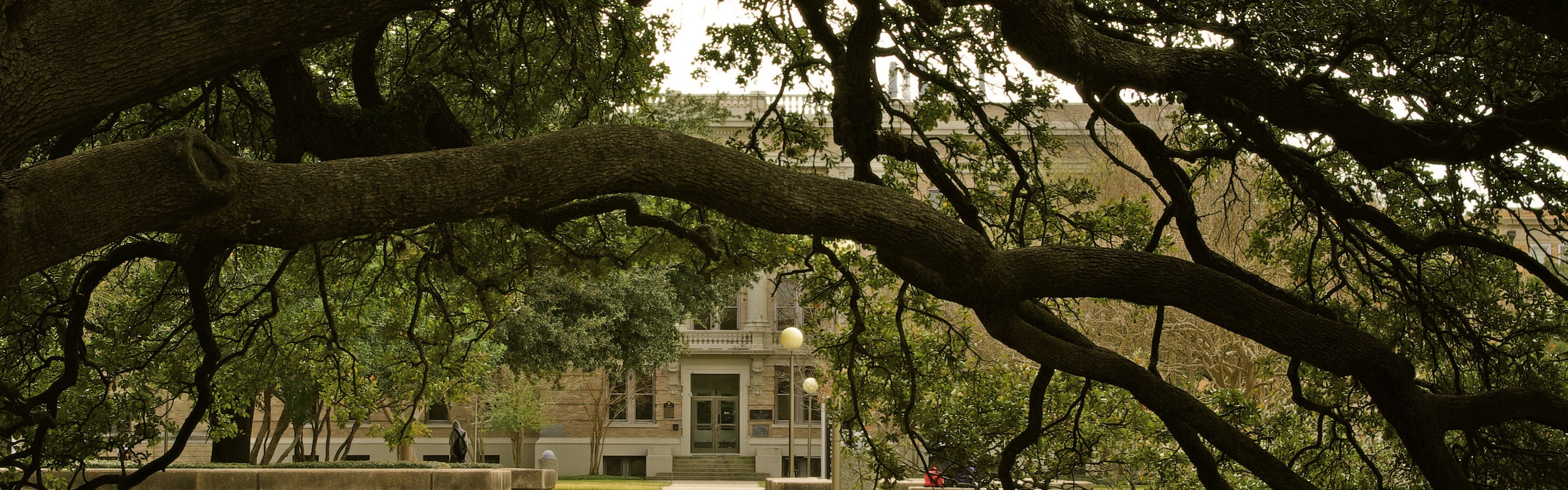 Texas a&m university campus