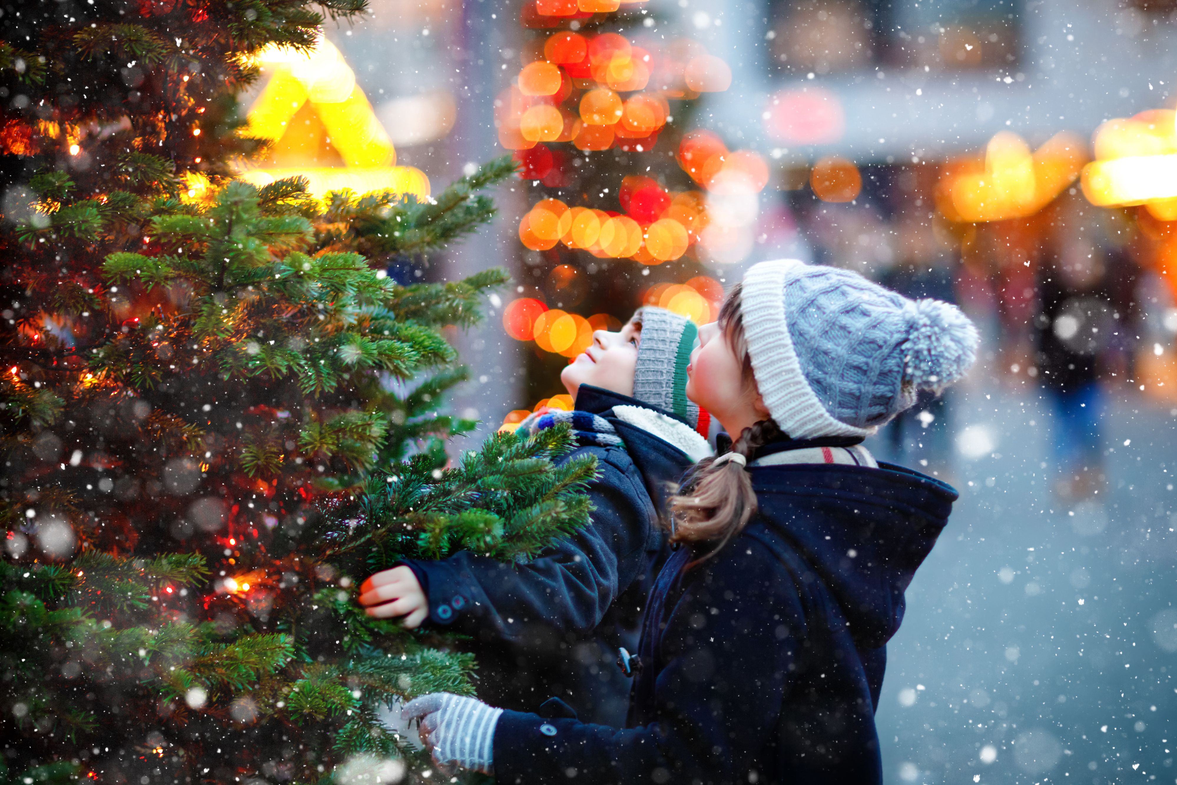 Two children admiring a Christmas tree outside.