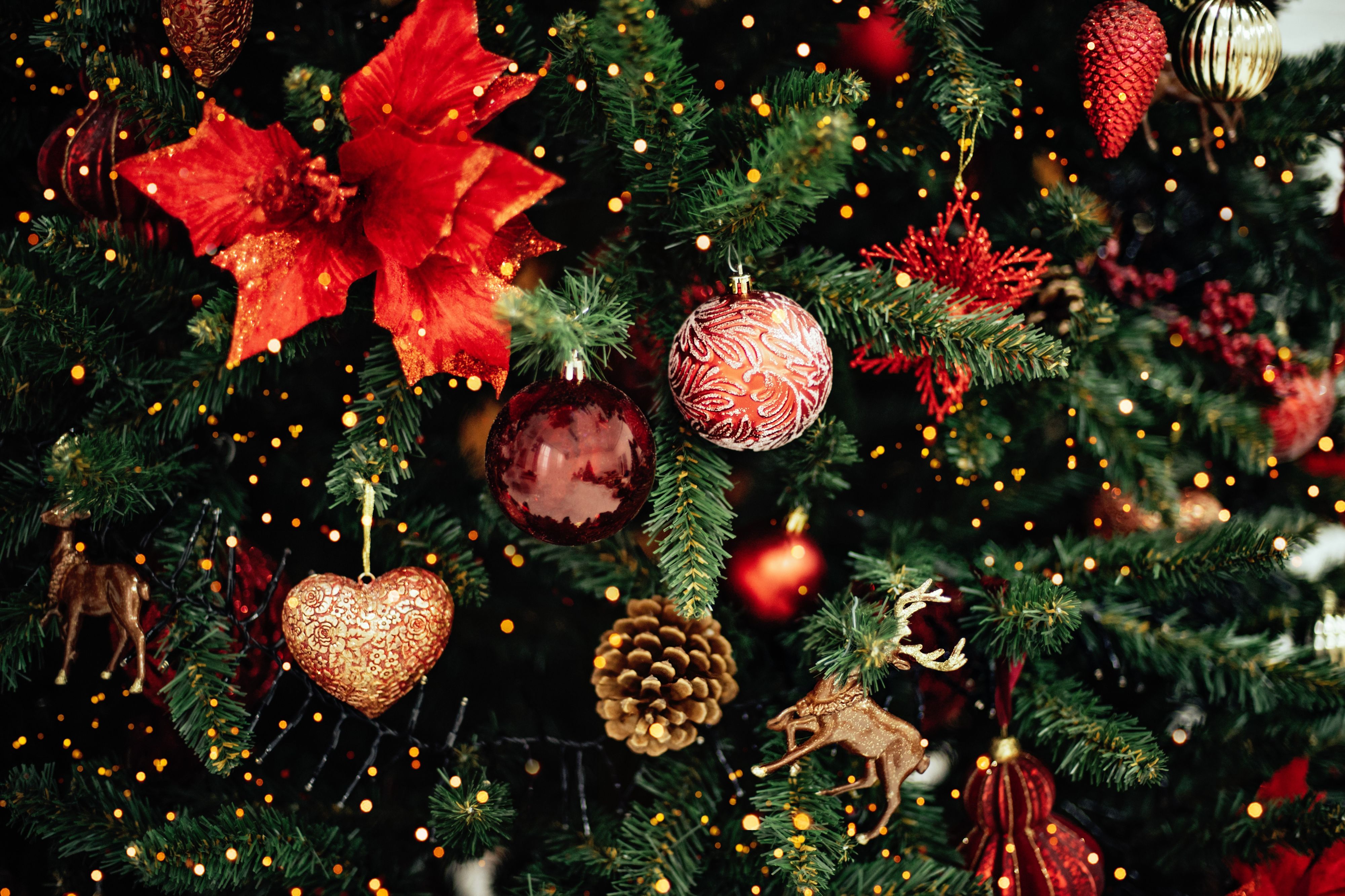 Close up of Christmas tree with ornaments.