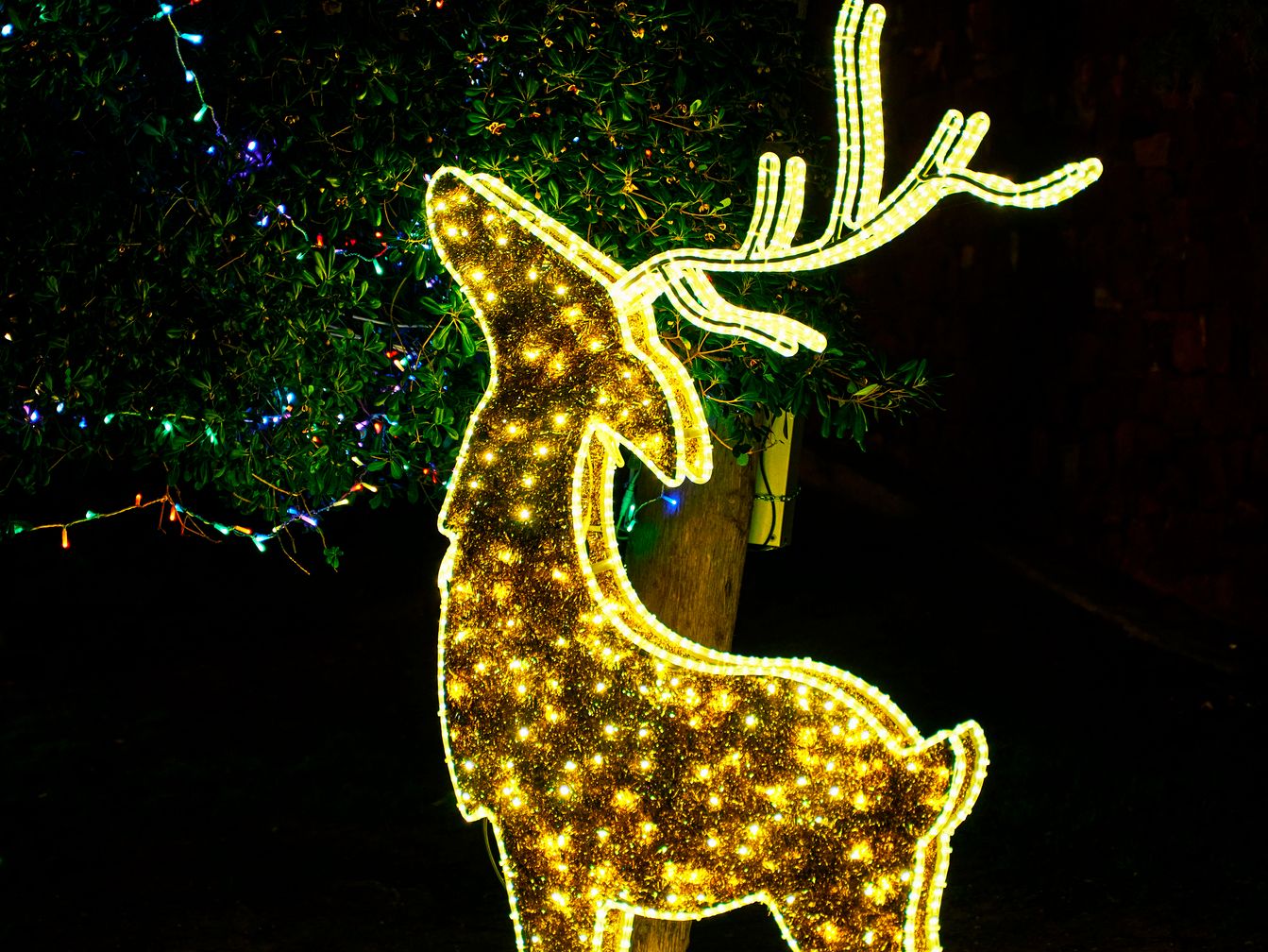 Christmas light up deer
