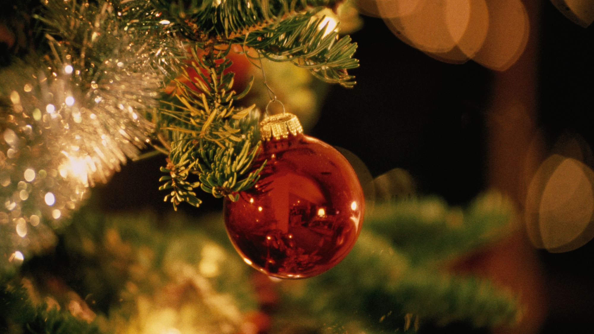 Red ornament on a tree