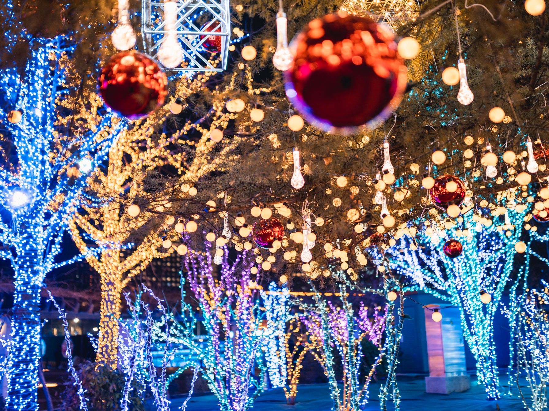 Christmas lights and decor