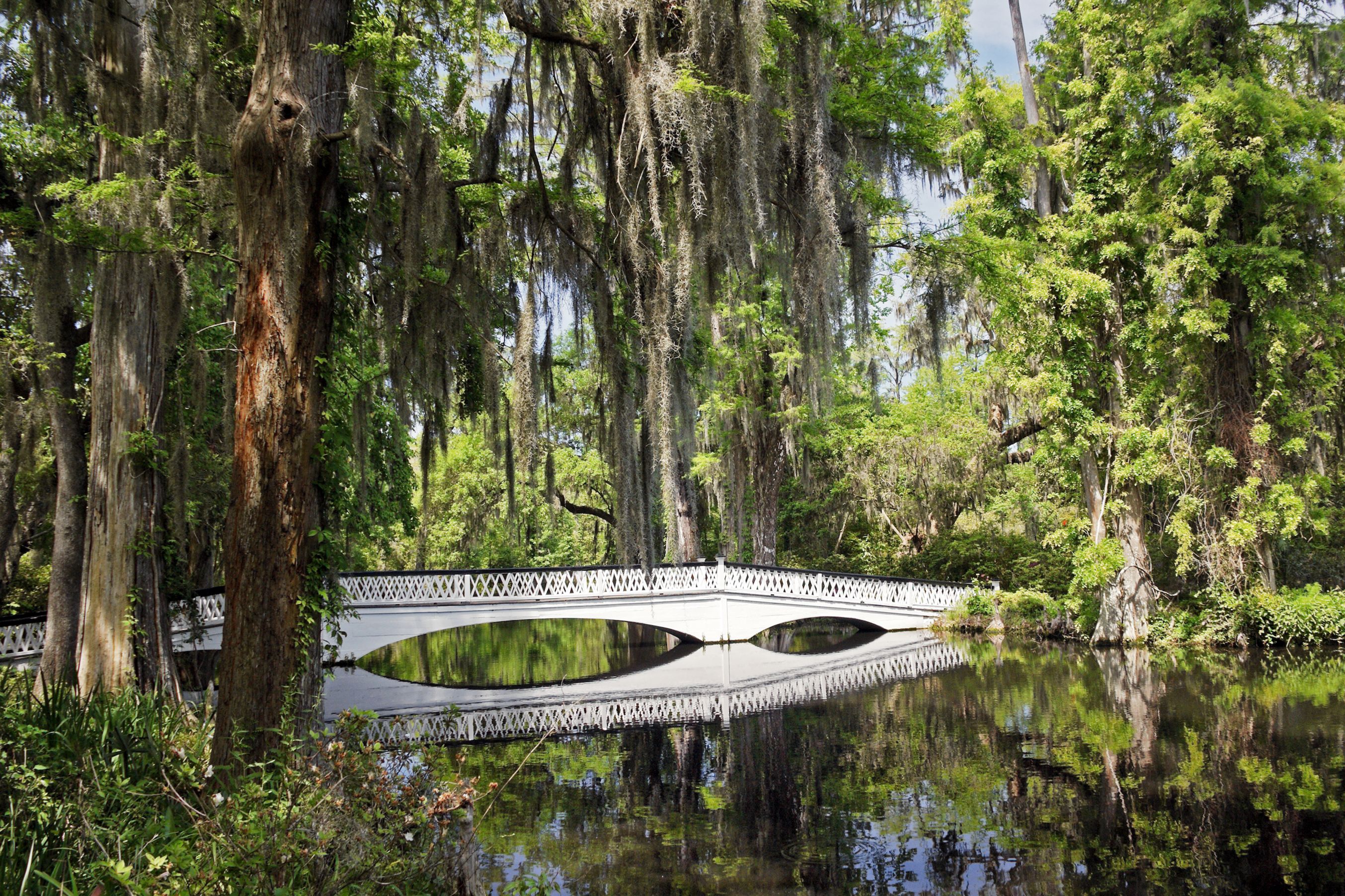 Magnolia Plantation and Gardens