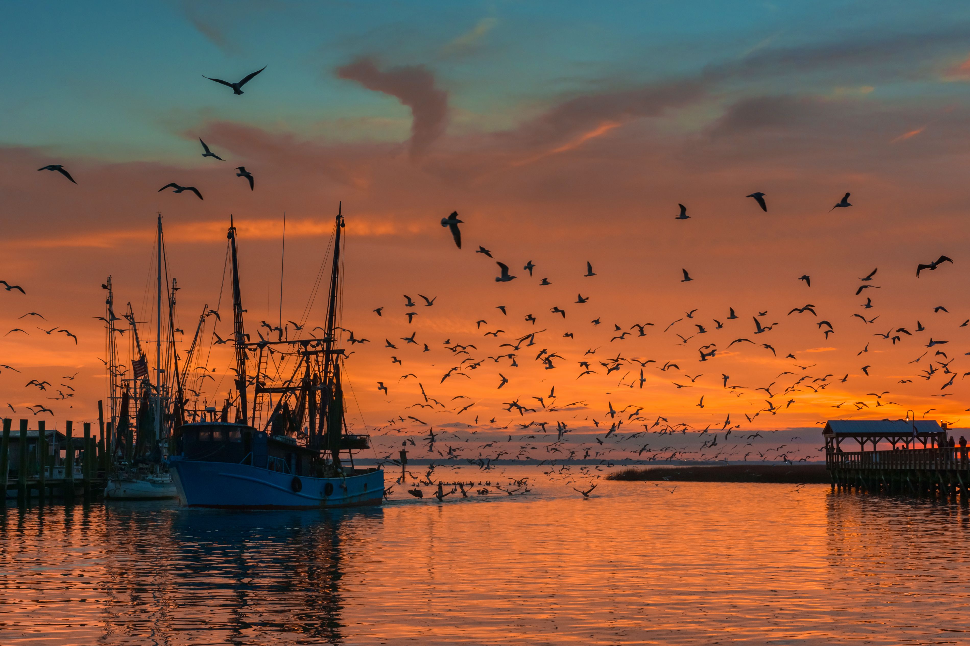 Shem Creek