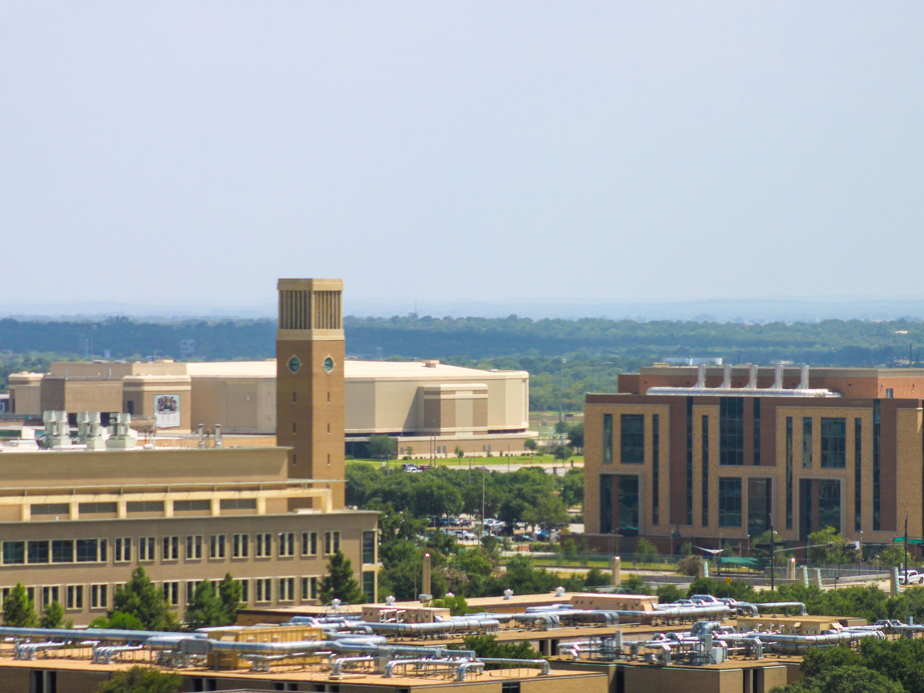 Texas A&M university campus