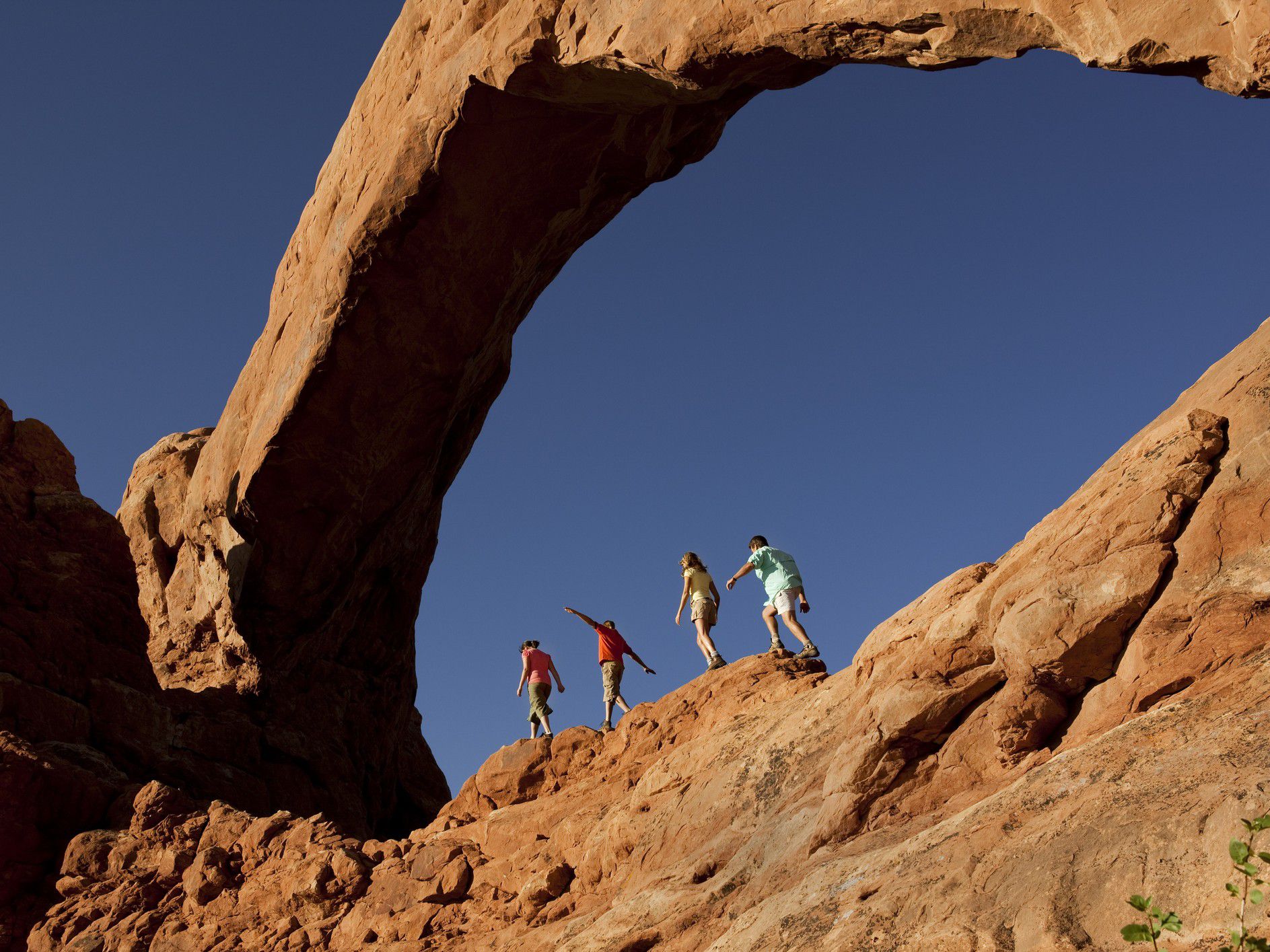 Canyon Rocks