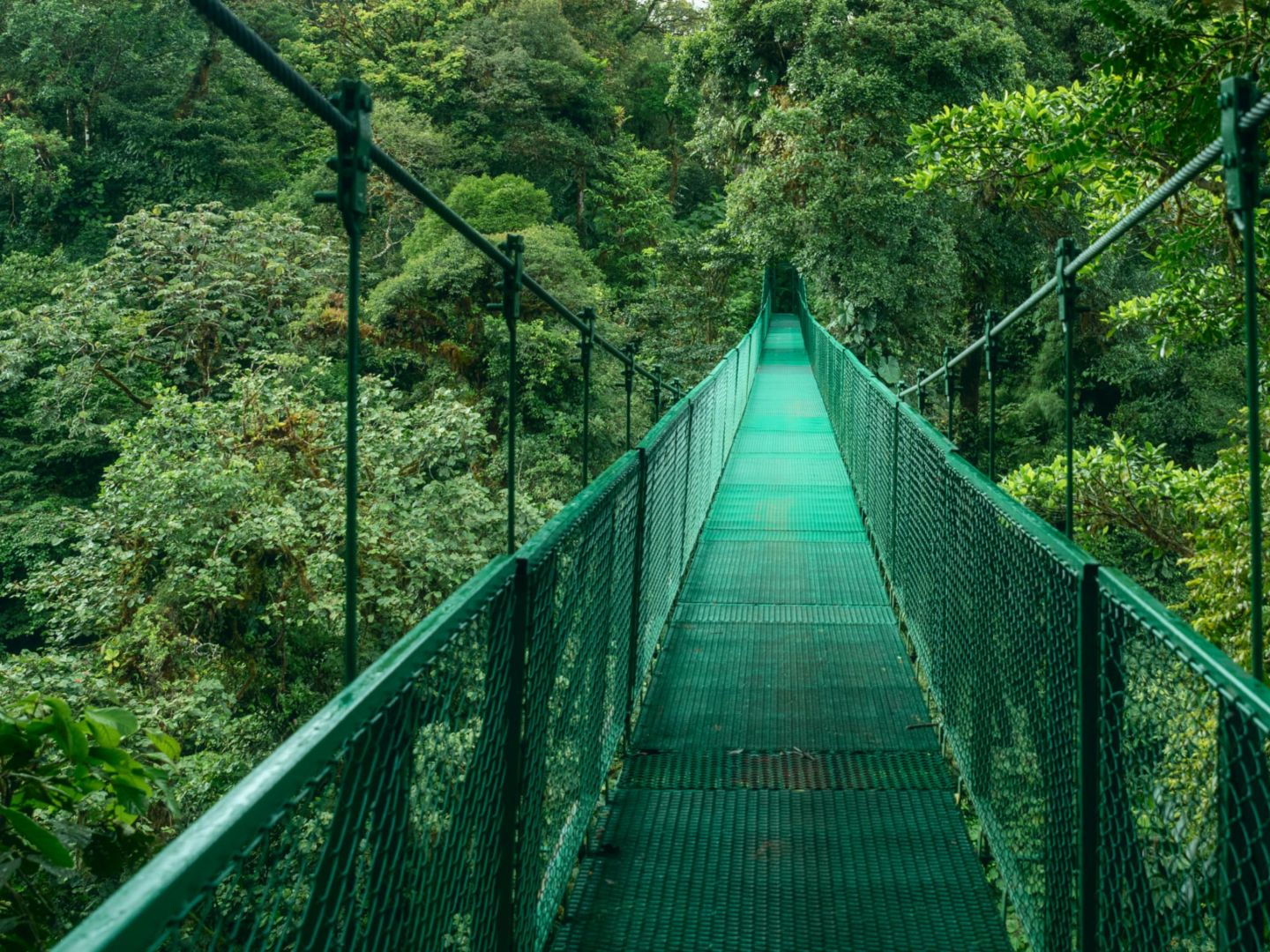 哥斯大黎加聖約瑟