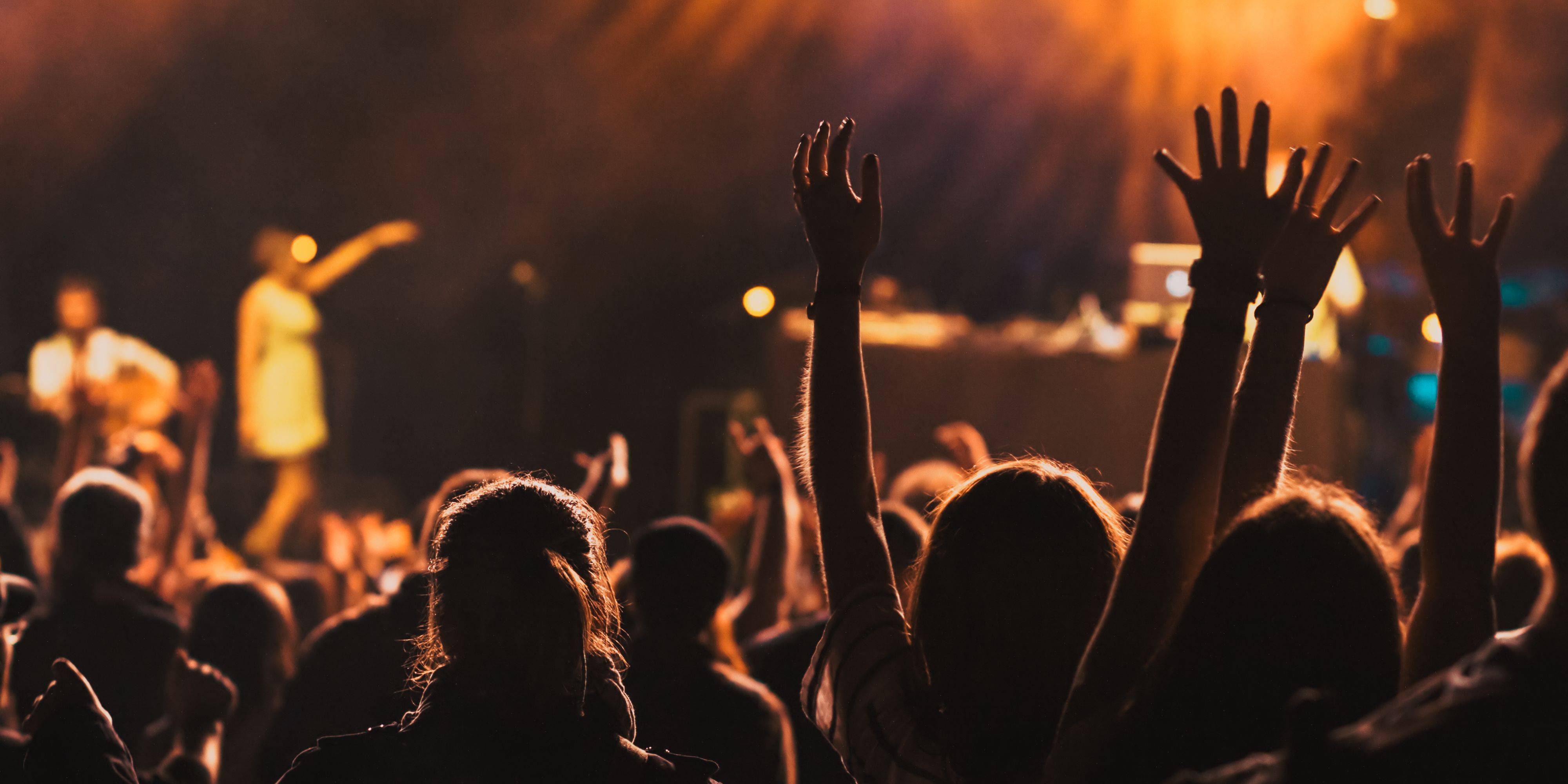 Crowd at a concert