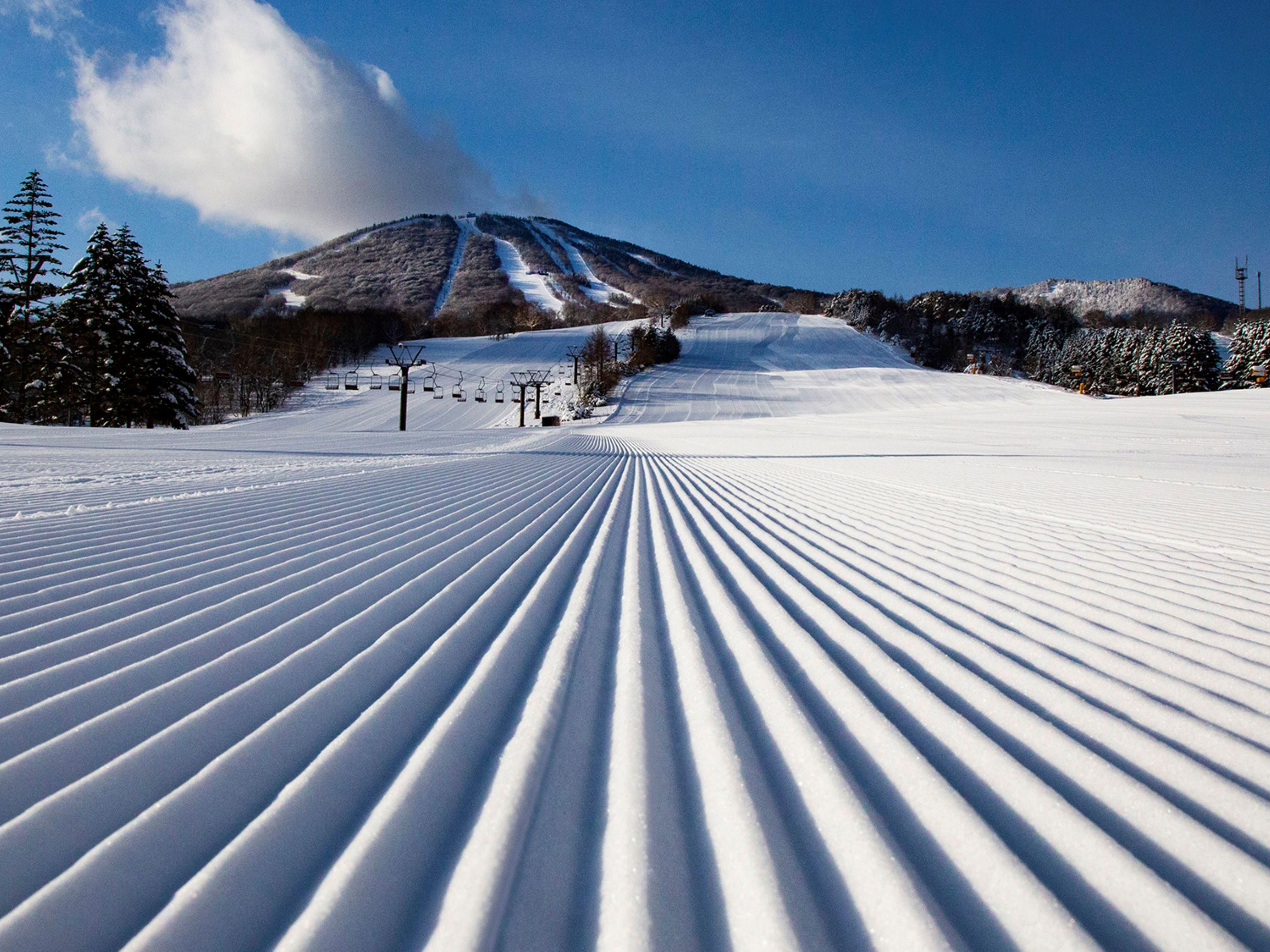 Appi Kogen Ski Resort won “World Ski Awards Japan’s Best Ski Resort 2023”. The mountain resort has all 21 terrains mainly long distance, and the best-quality snow, various courses for beginner to advanced, full of facilities such as rental, school, and restaurants. *Please note that the 2024-25 season has ended.