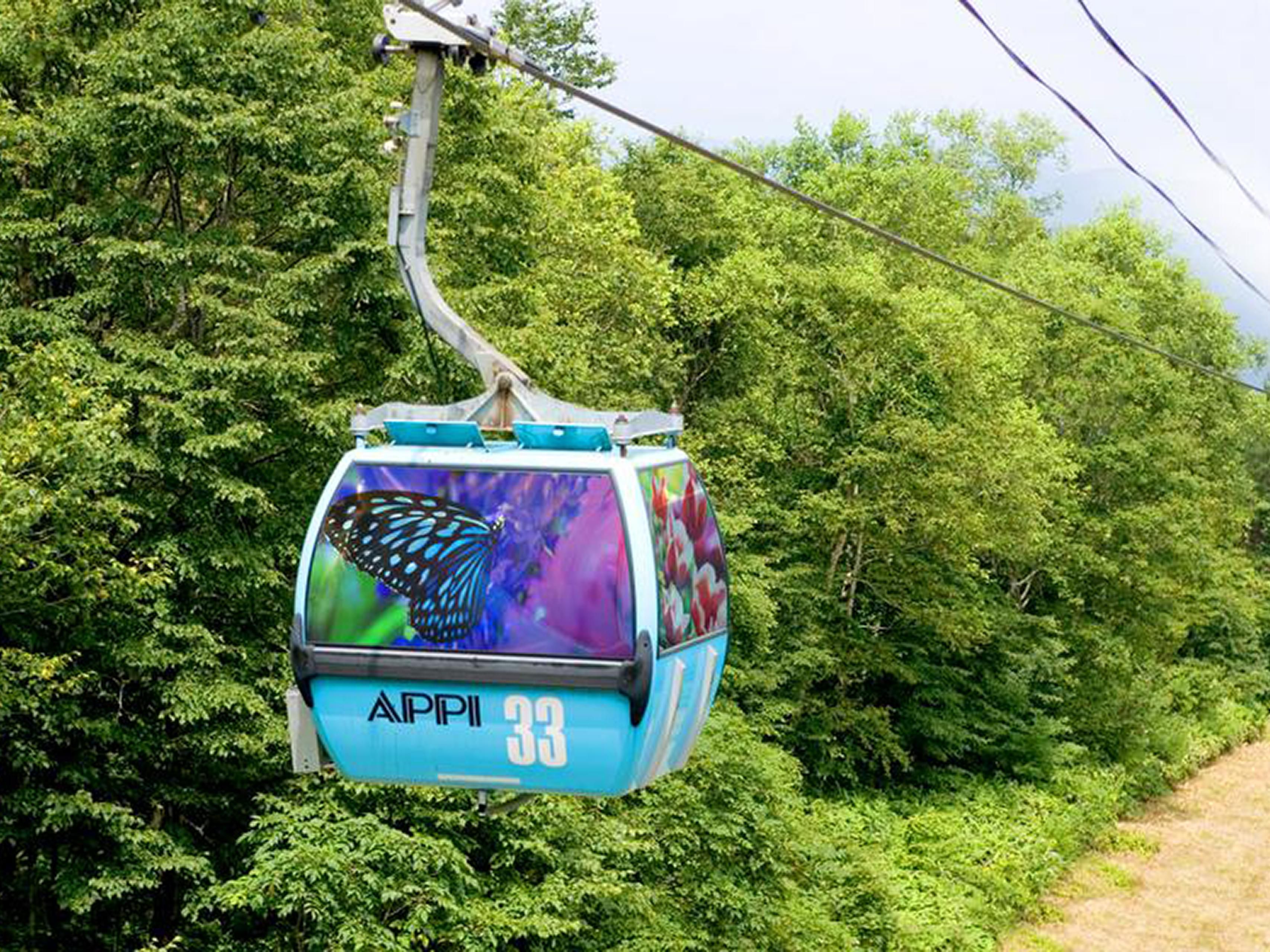 2 meals and gondola pass included