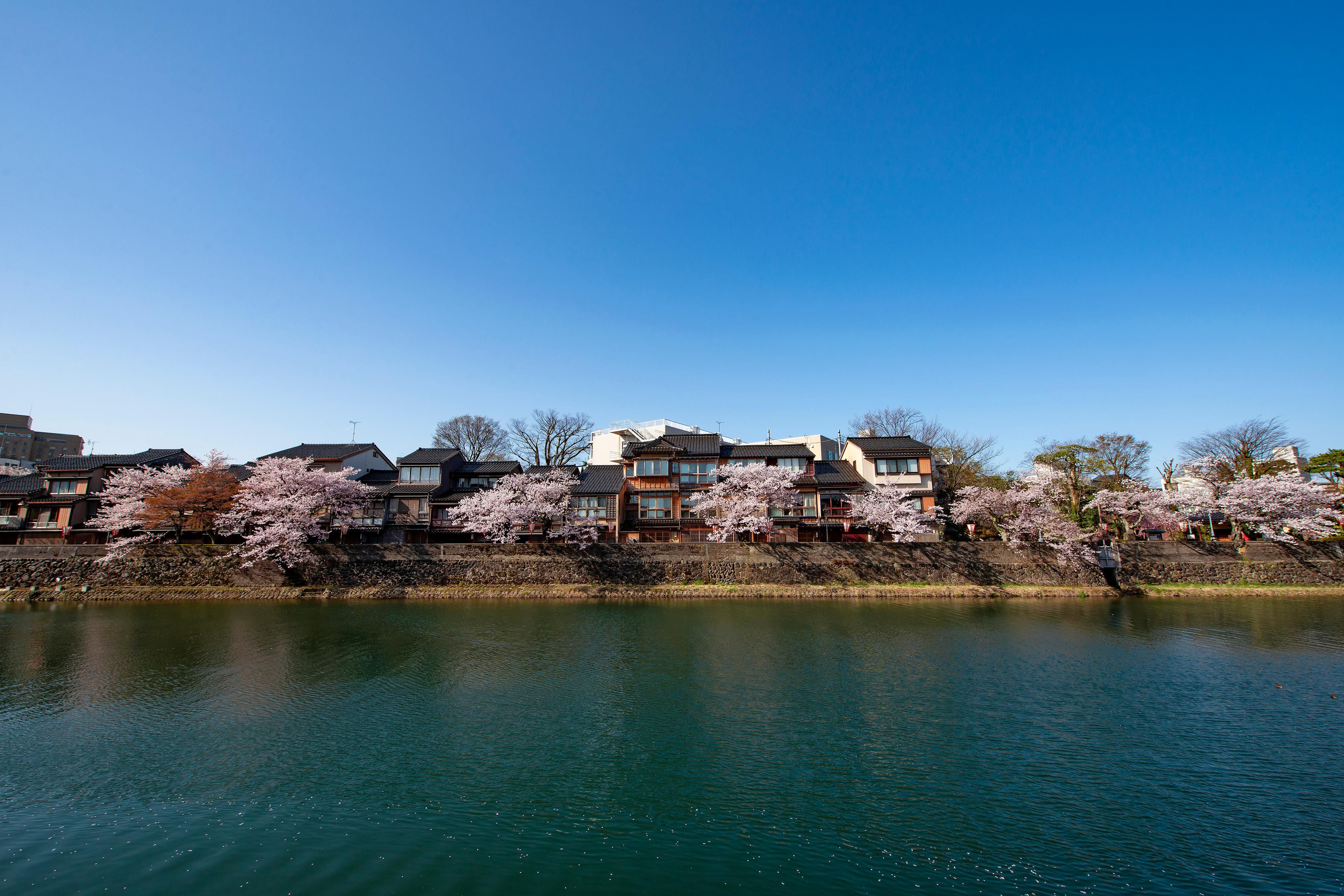 Asano River area in Spring