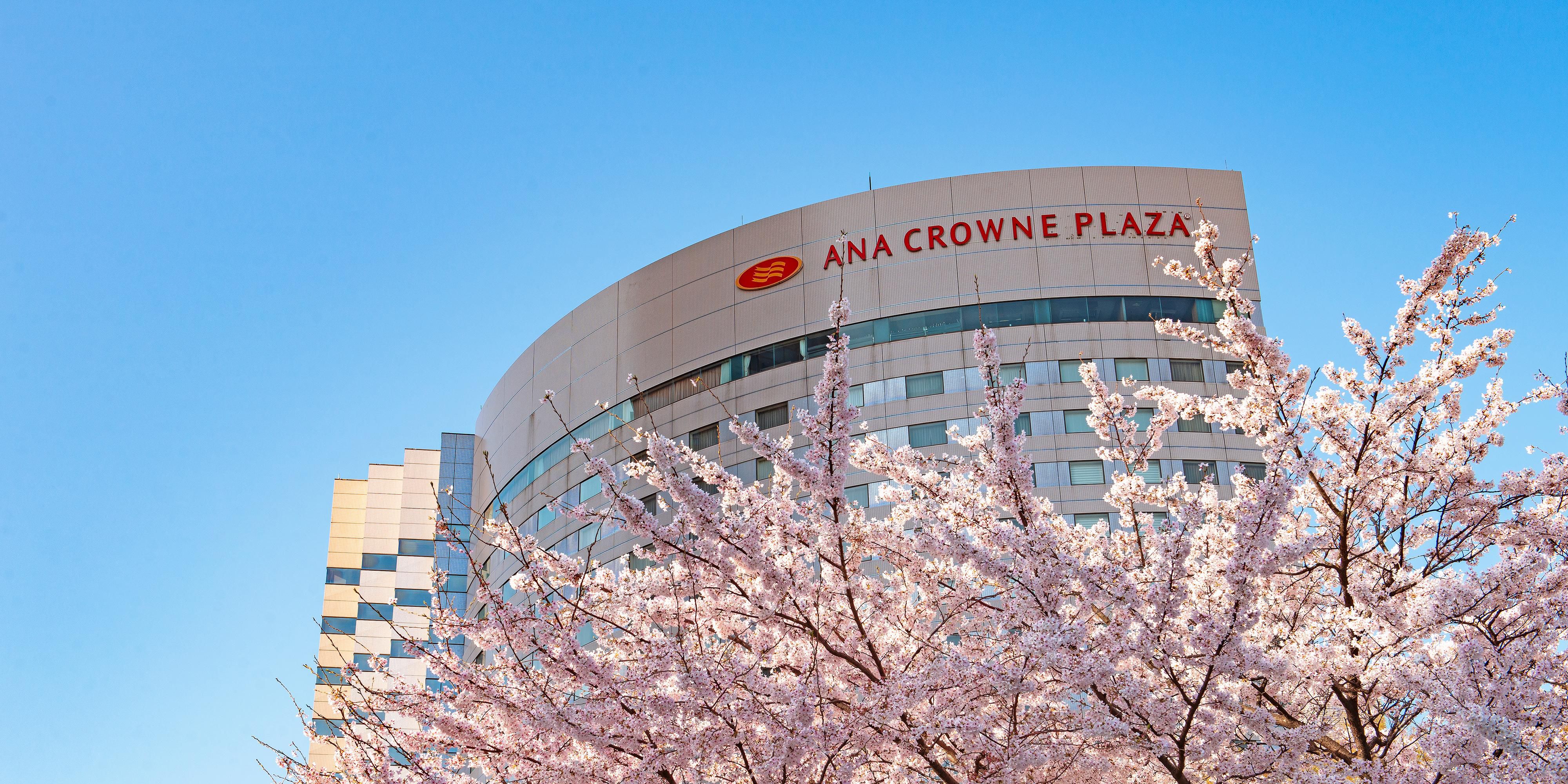 $hotelInfo.mediaDetails.welcomePhotos.primaryPhoto.caption}