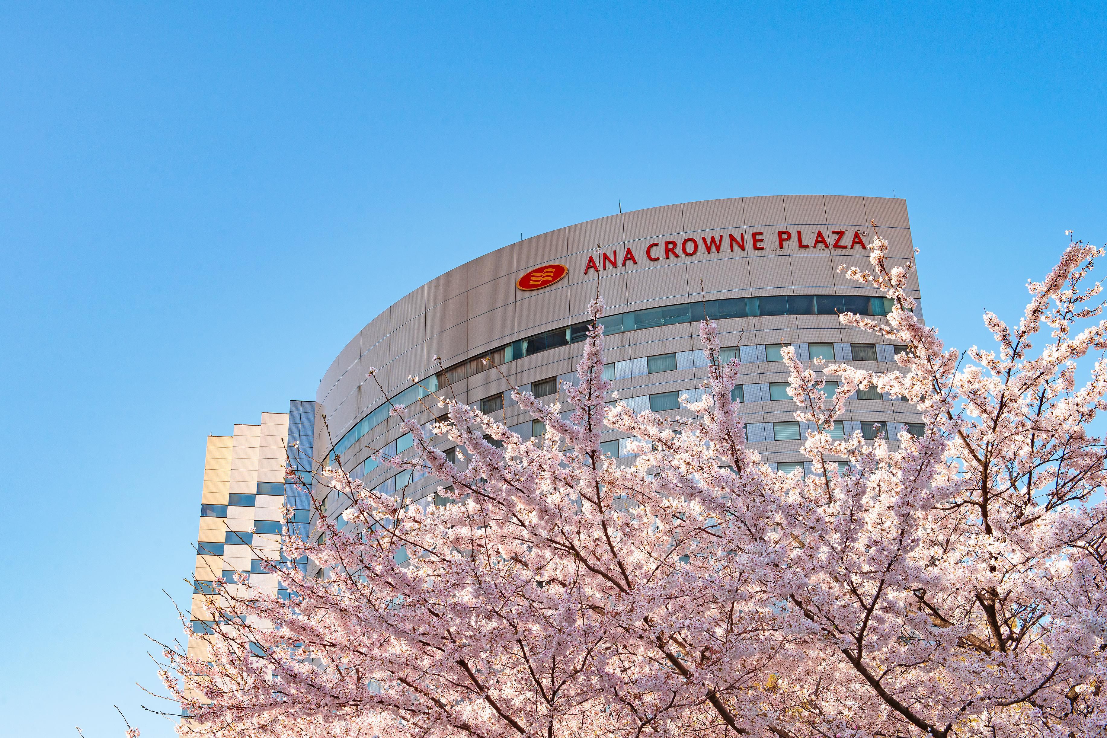Hotel exterior in spring with beautiful cherry blossoms